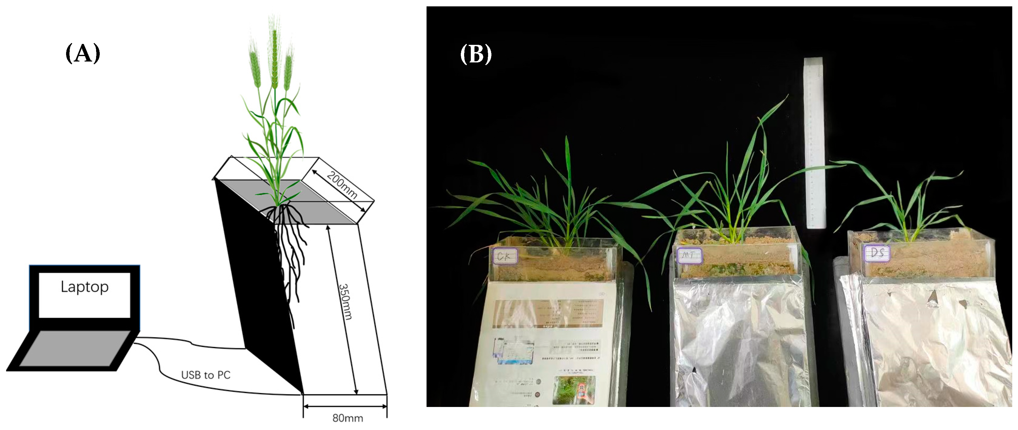 Agronomy 13 01881 g001 Agronomy 13 01881 g001