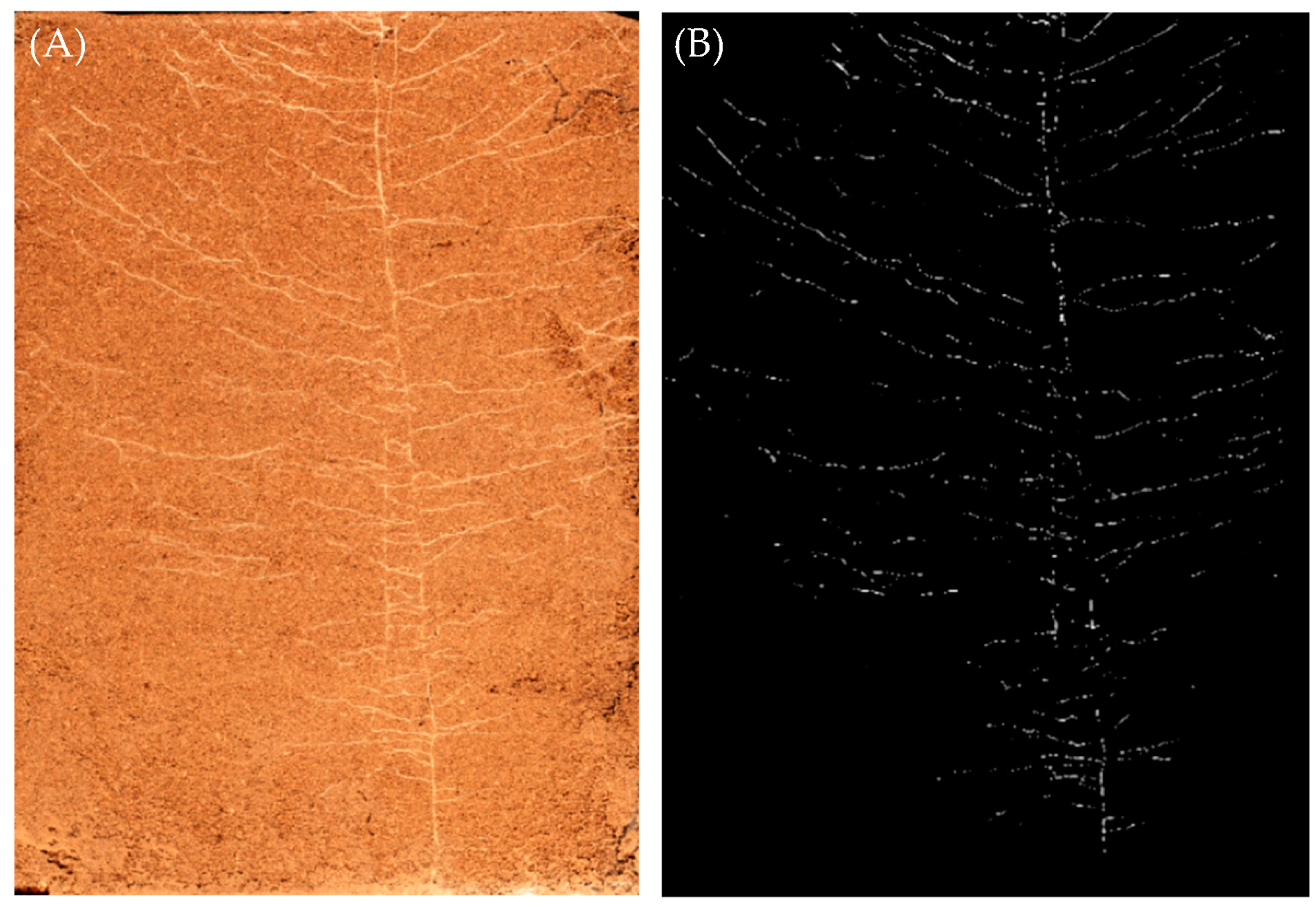 Agronomy 13 01881 g002 Agronomy 13 01881 g002