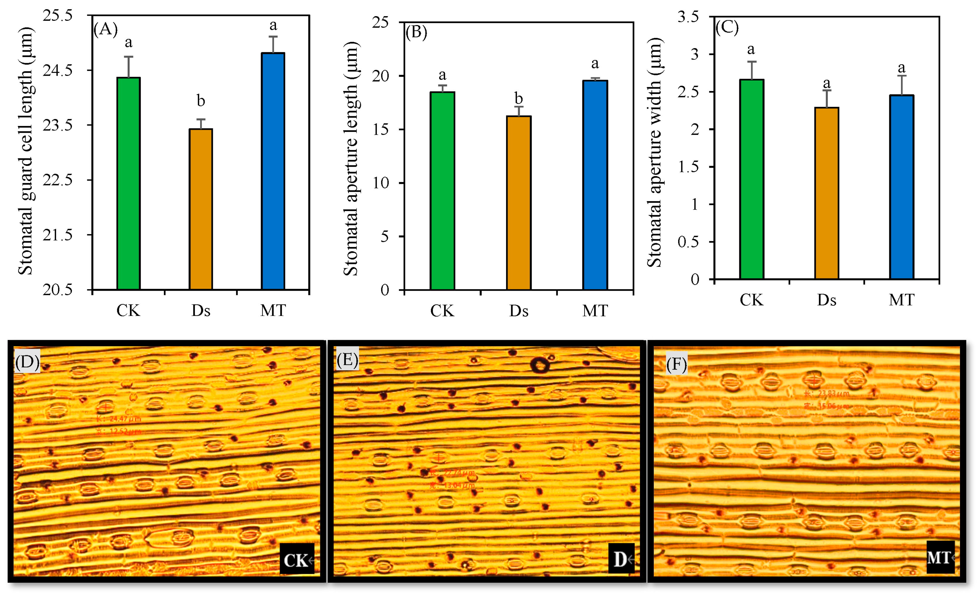 Agronomy 13 01881 g004 Agronomy 13 01881 g004