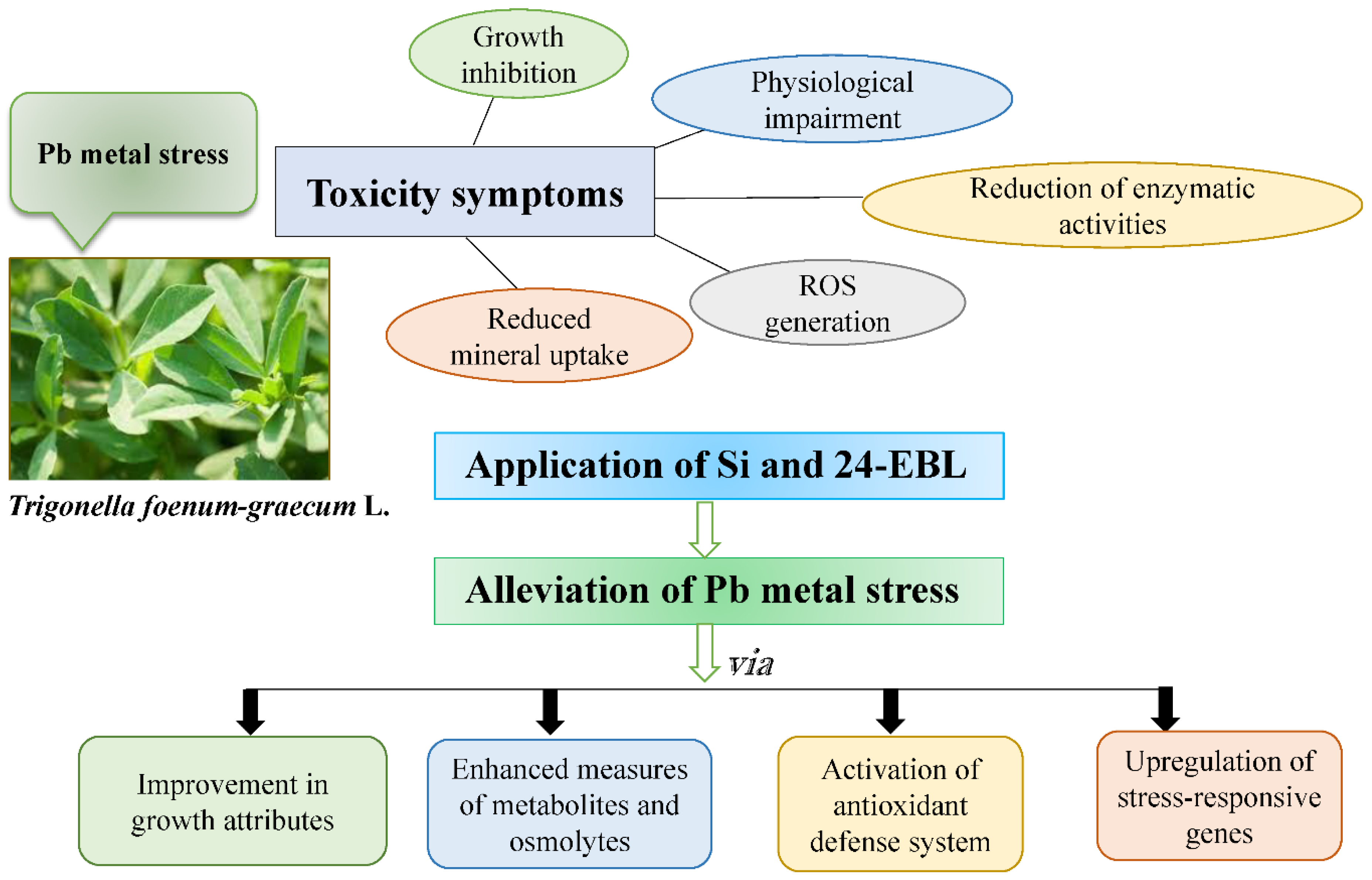 Agronomy 13 01884 g010