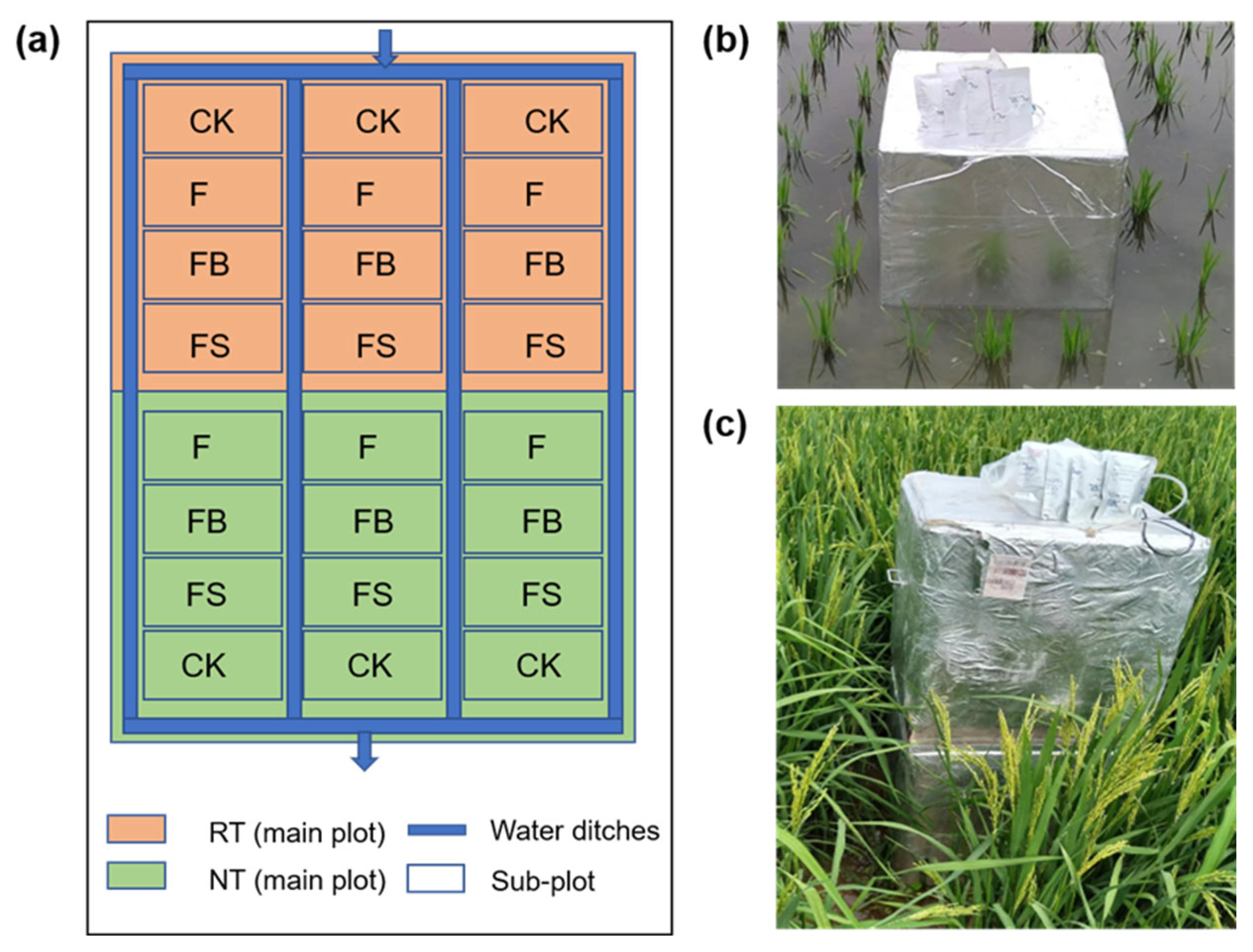 Agronomy 13 01887 g002 Agronomy 13 01887 g002