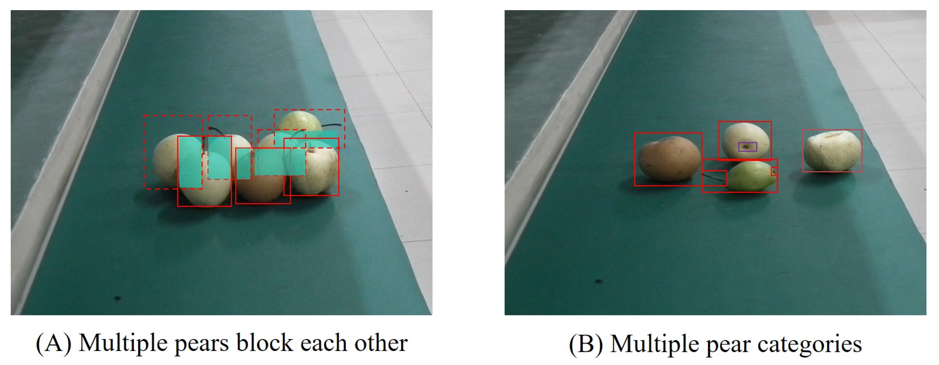 Agronomy 13 01891 g001