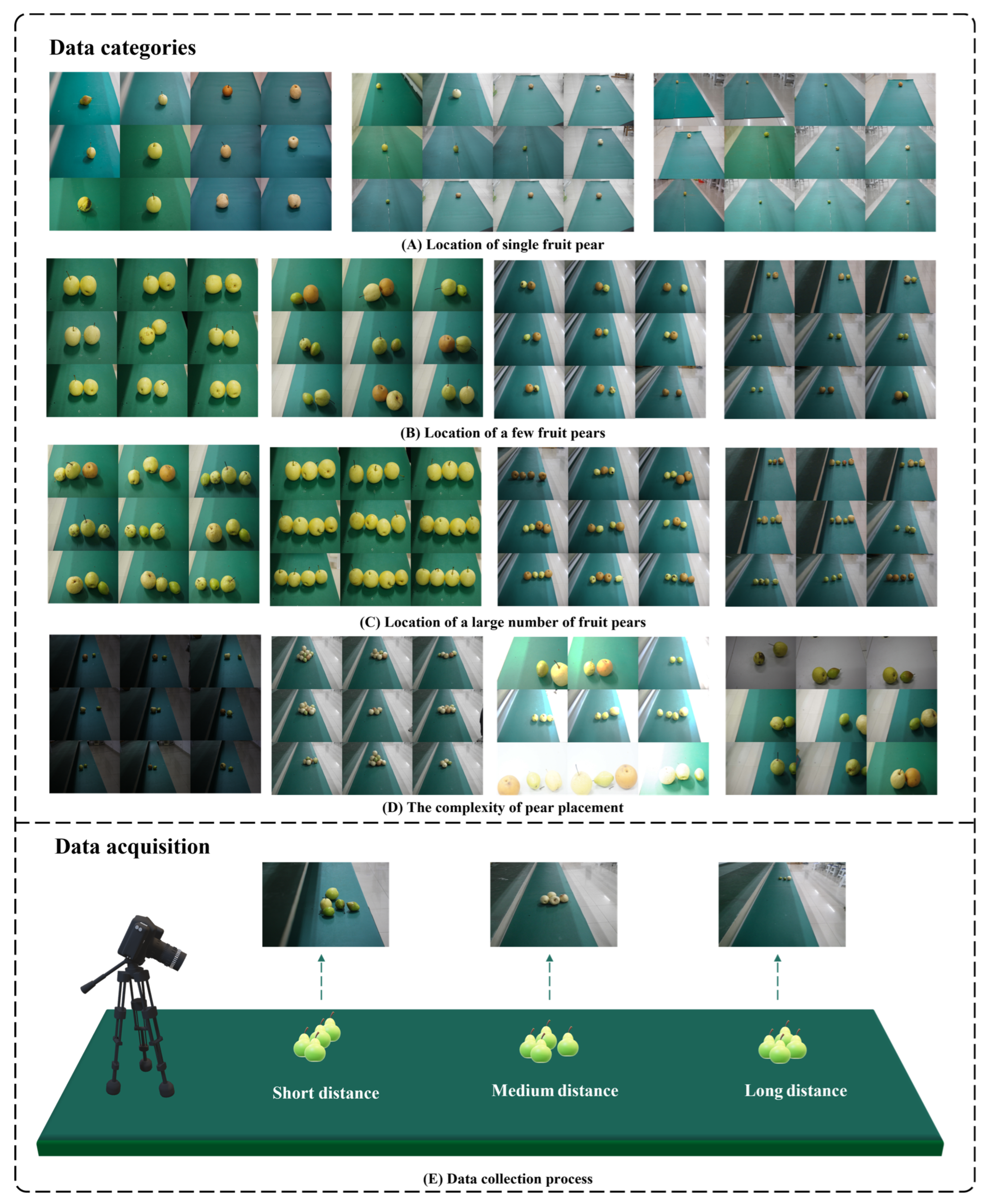 Agronomy 13 01891 g003