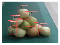 Agronomy 13 01891 i011