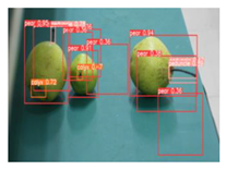 Agronomy 13 01891 i012