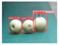 Agronomy 13 01891 i016