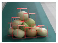 Agronomy 13 01891 i017