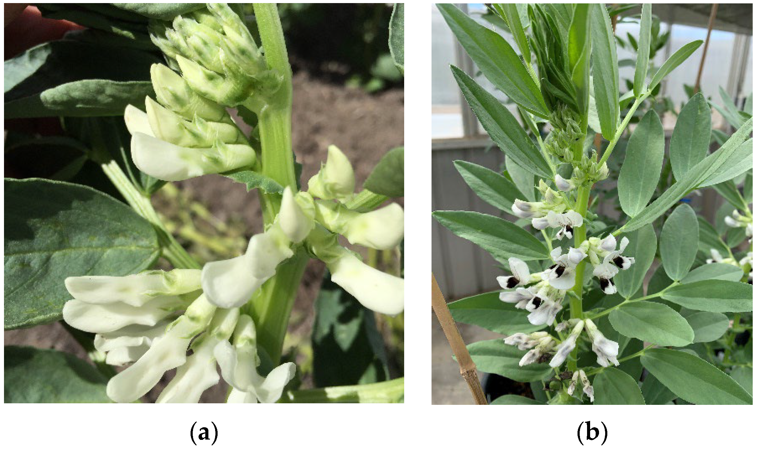 Agronomy 13 01893 g002 Agronomy 13 01893 g002