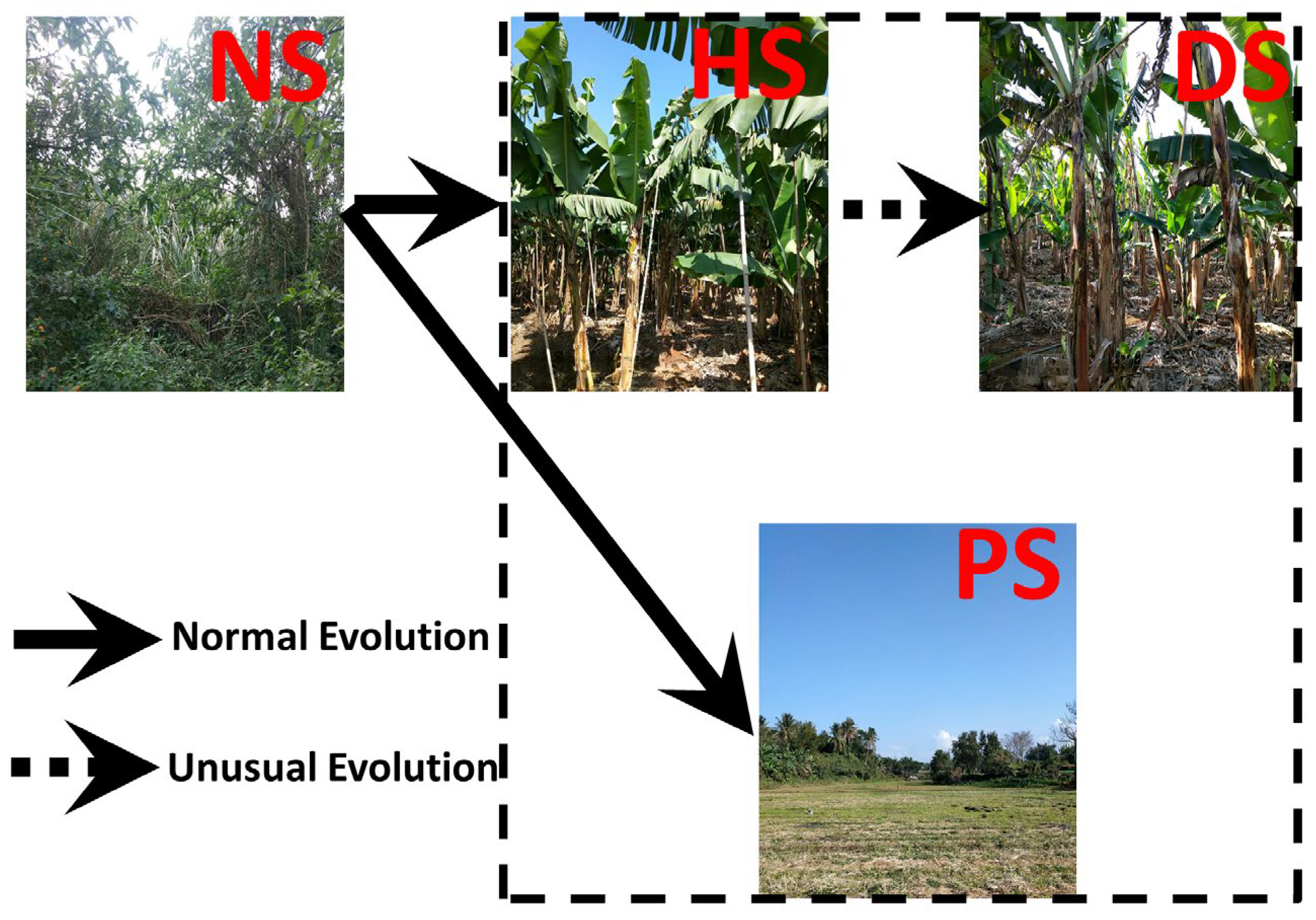 Agronomy 13 01897 g001 Agronomy 13 01897 g001