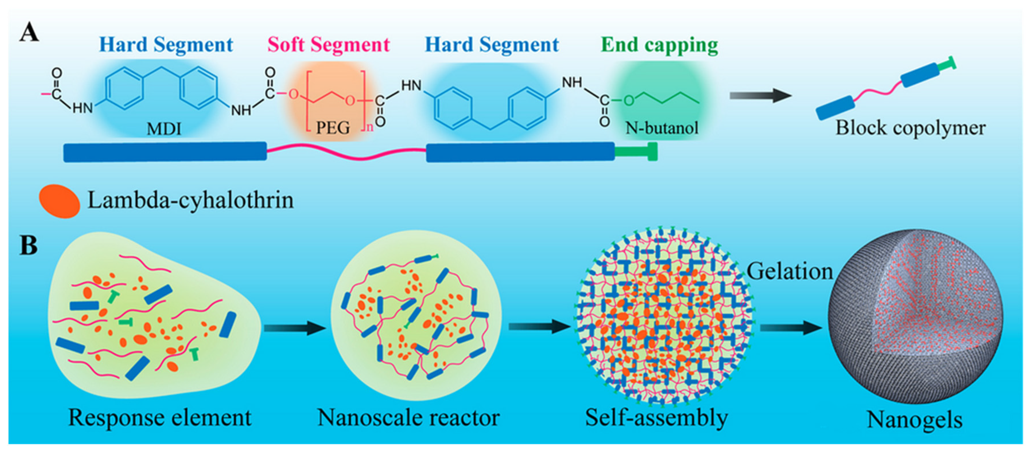 Agronomy 13 01898 g005 Agronomy 13 01898 g005