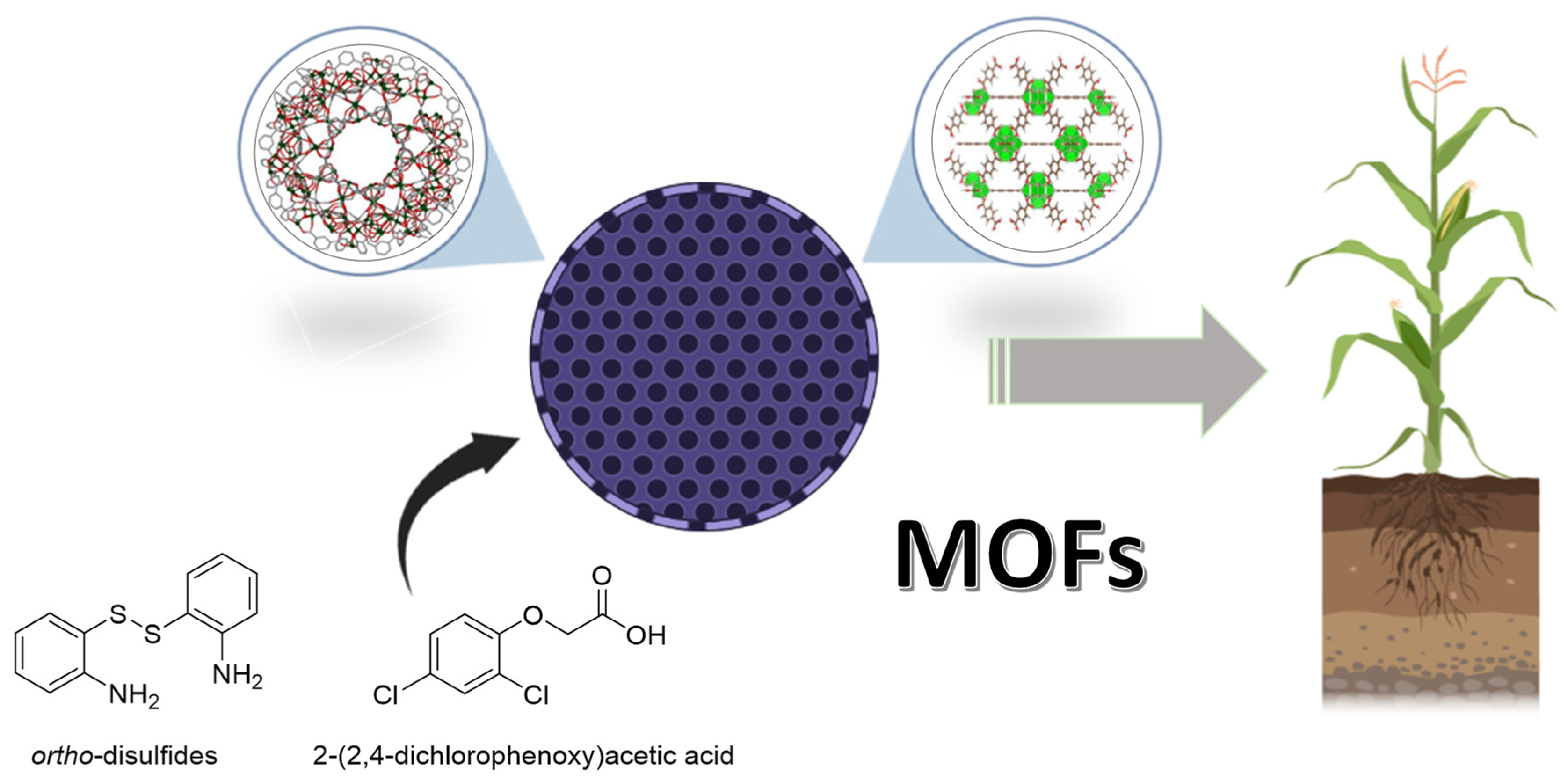 Agronomy 13 01898 g007 Agronomy 13 01898 g007