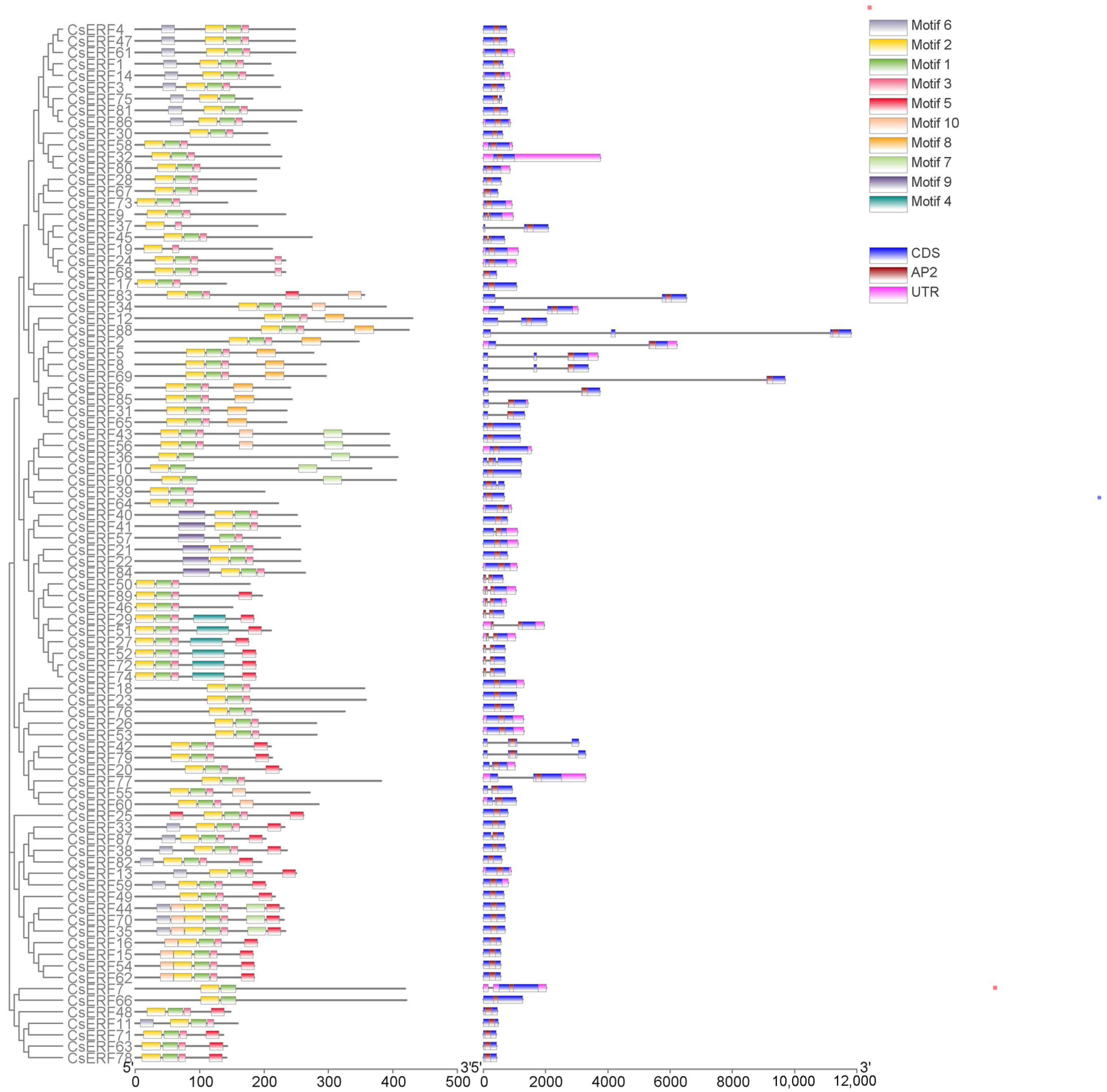 Agronomy 13 01900 g001