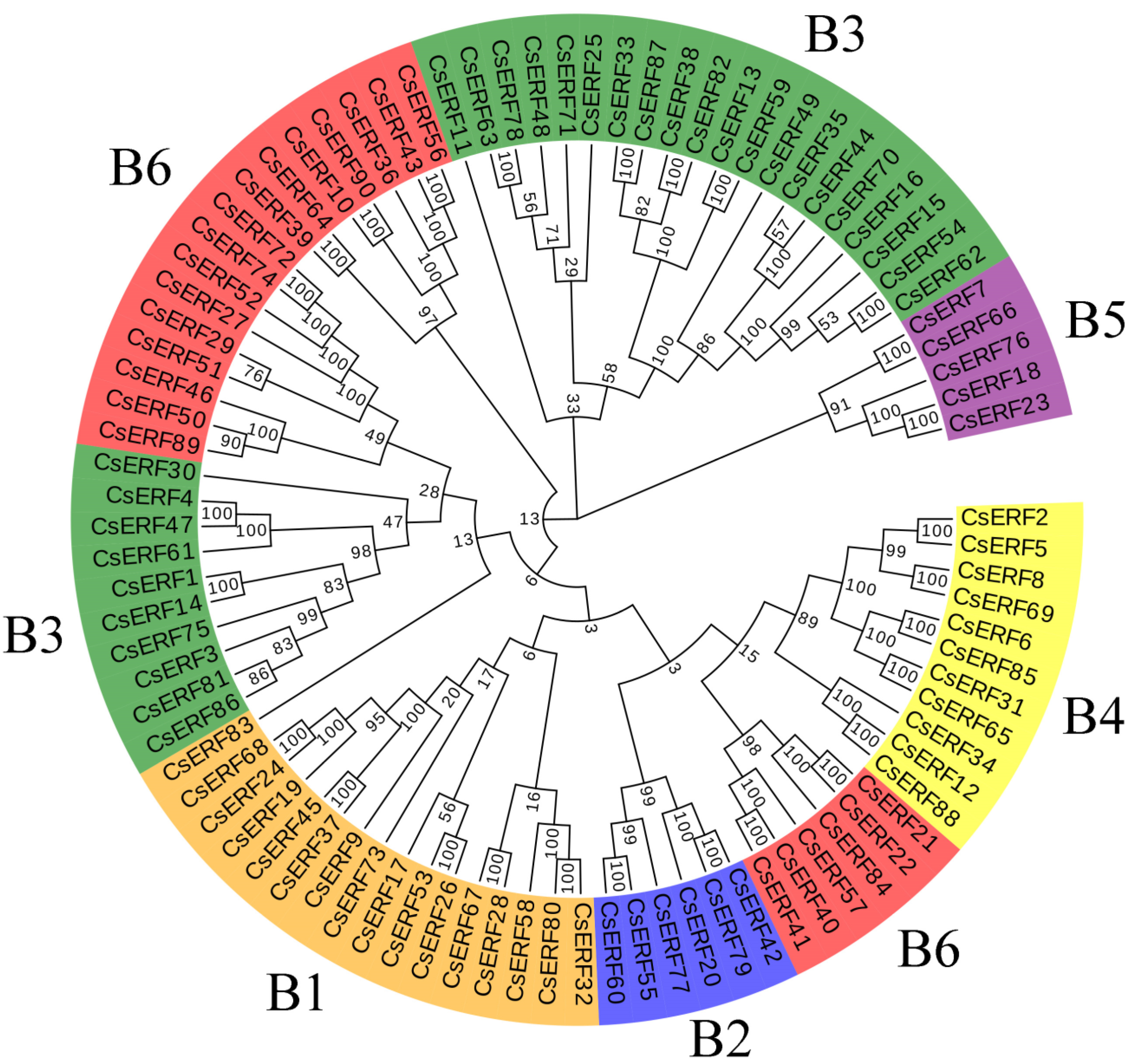 Agronomy 13 01900 g004