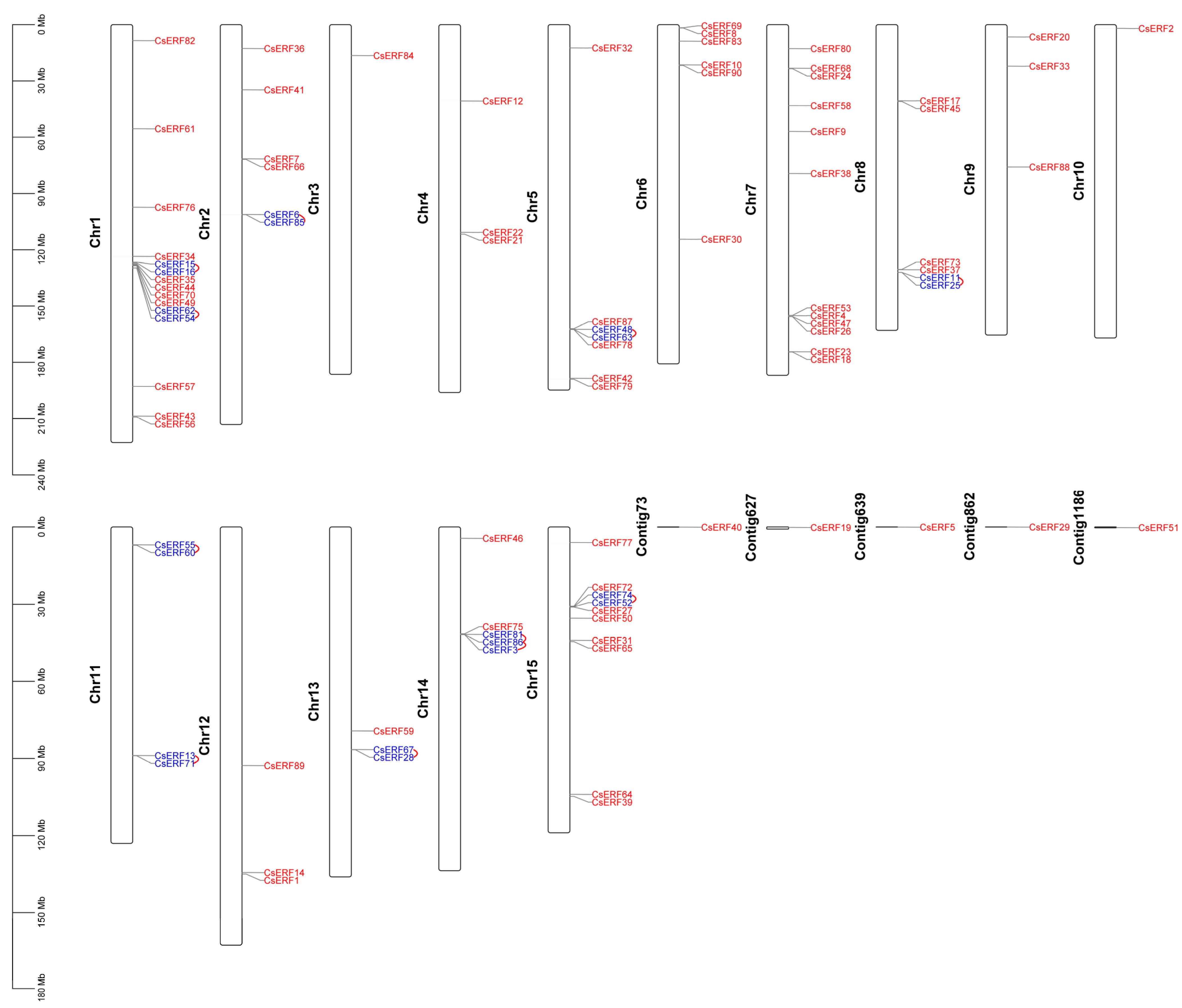 Agronomy 13 01900 g005
