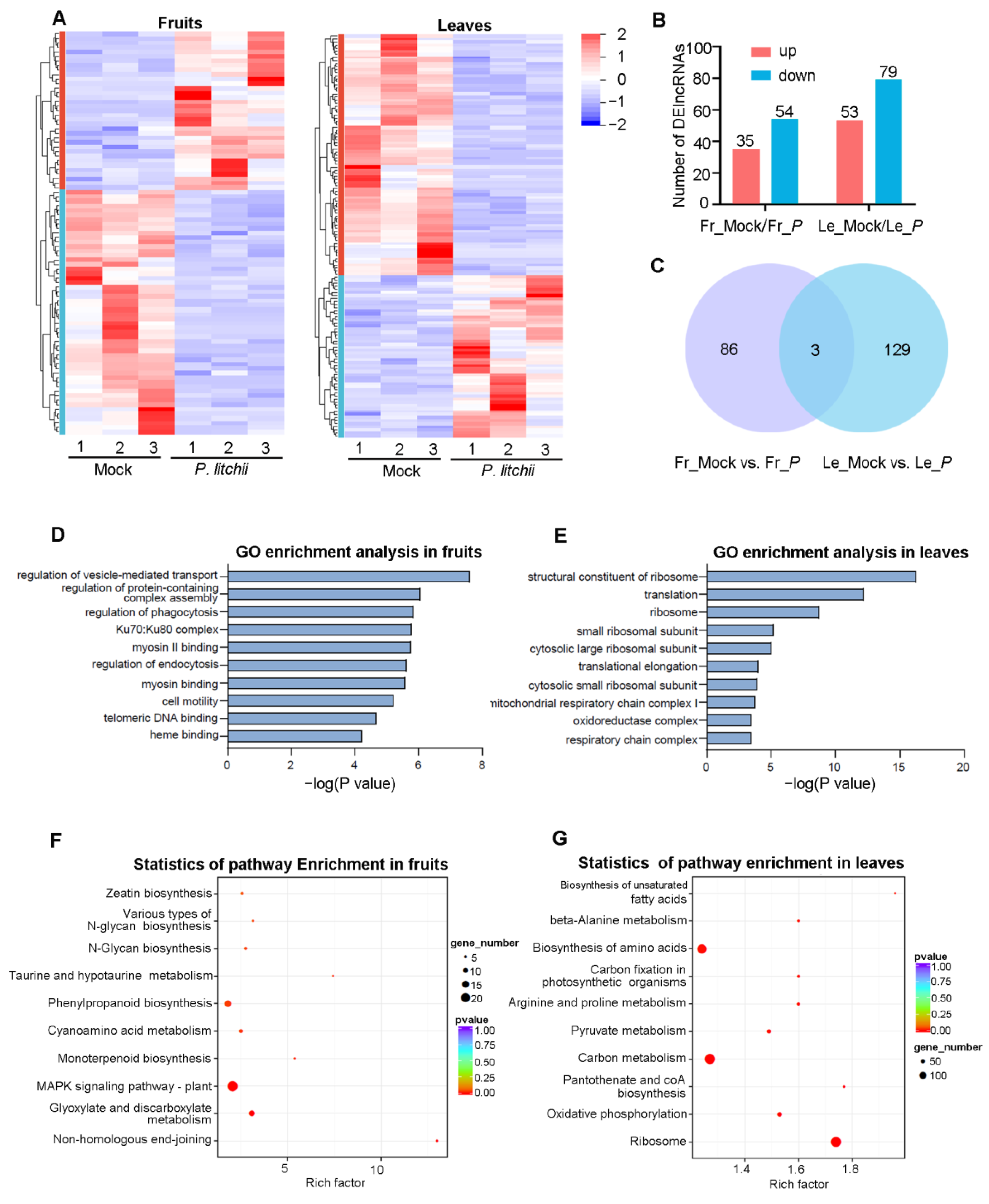 Agronomy 13 01904 g003 Agronomy 13 01904 g003