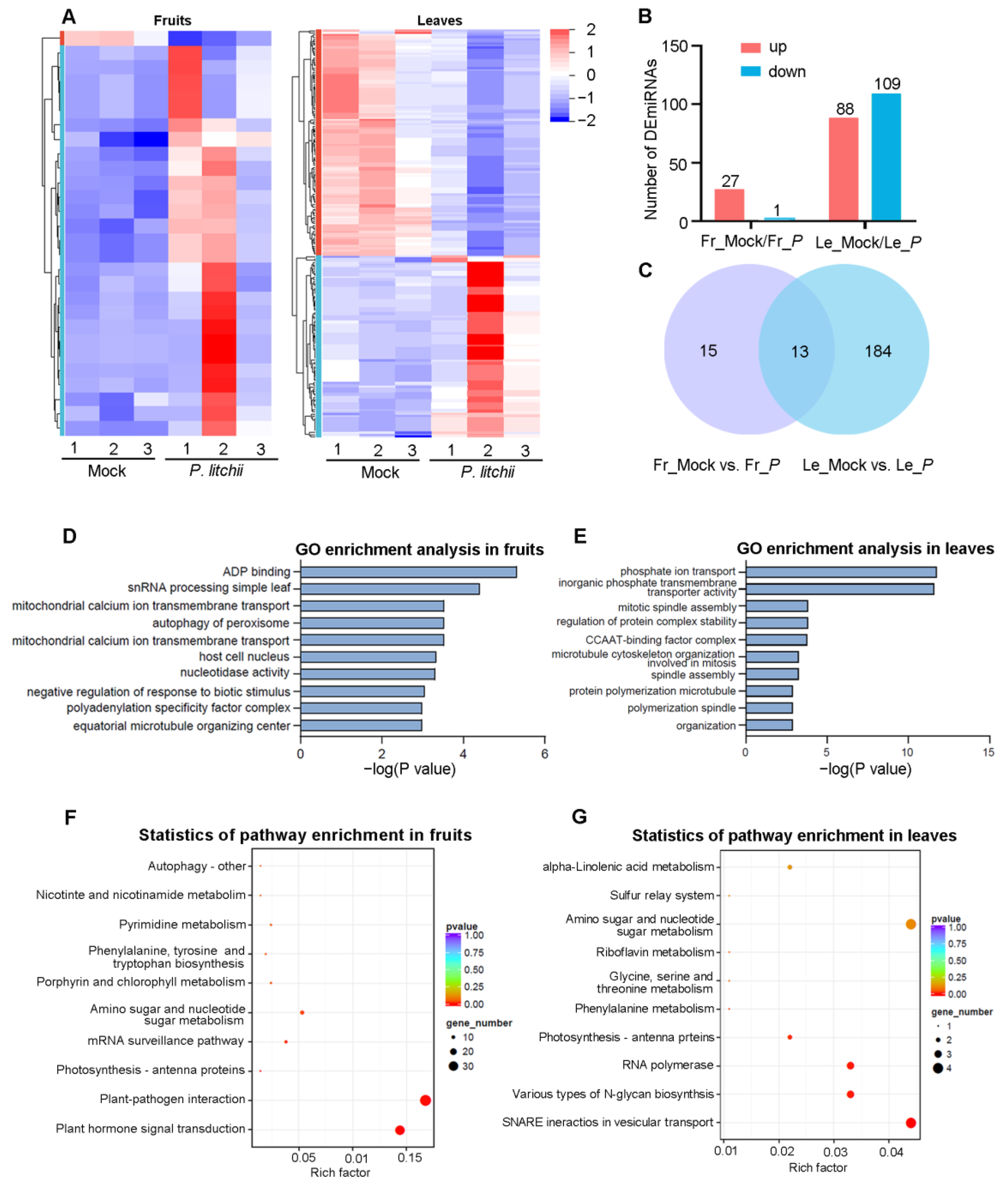 Agronomy 13 01904 g005 Agronomy 13 01904 g005
