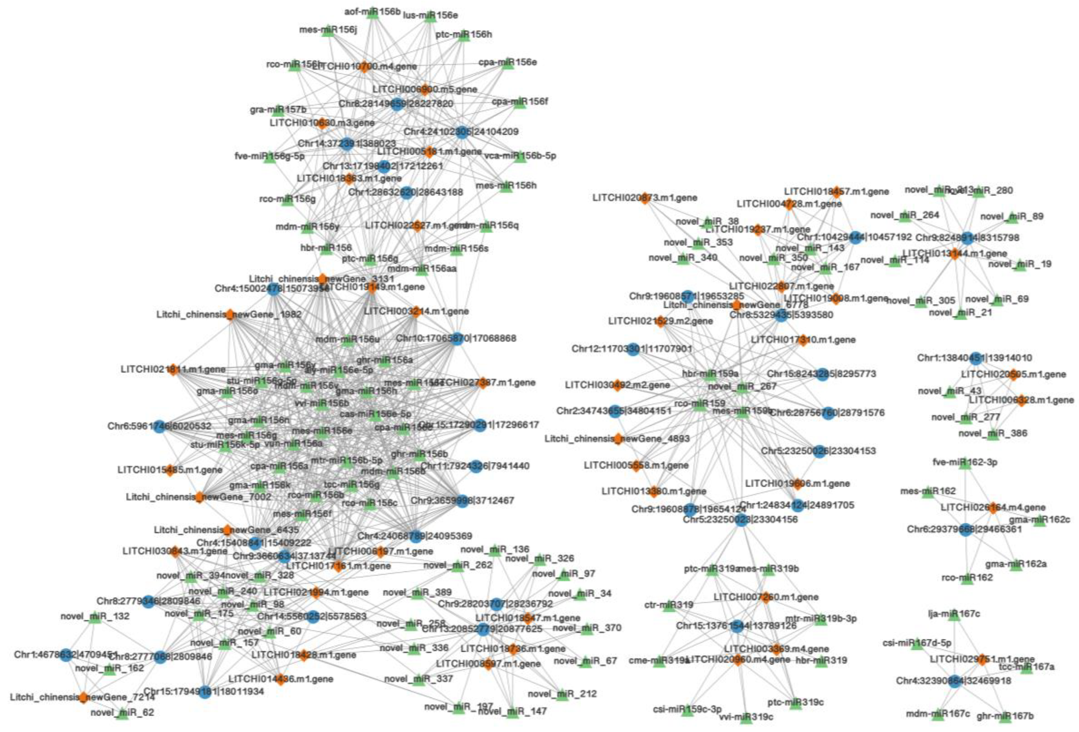 Agronomy 13 01904 g006 Agronomy 13 01904 g006