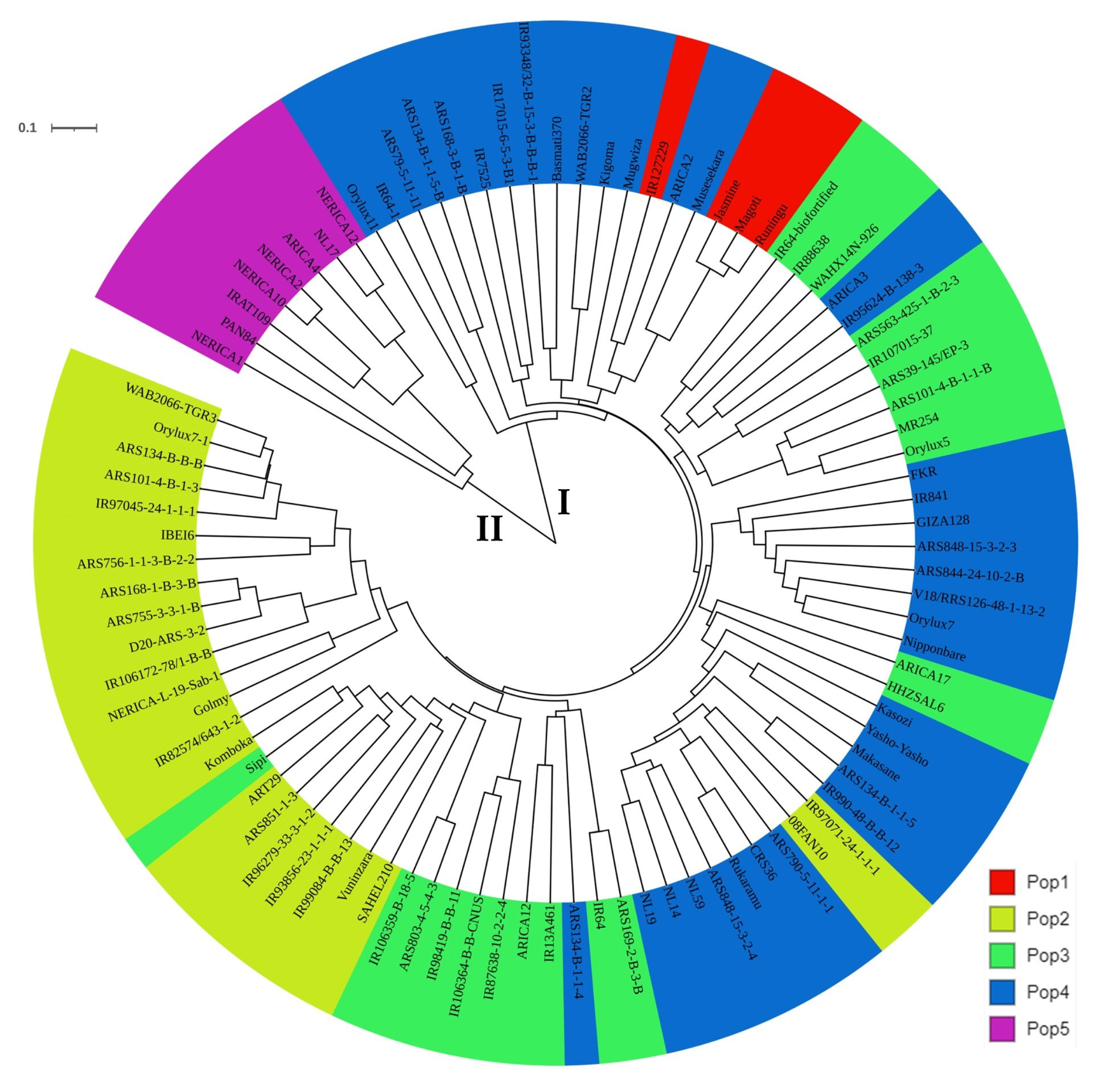 Agronomy 13 01906 g005 Agronomy 13 01906 g005