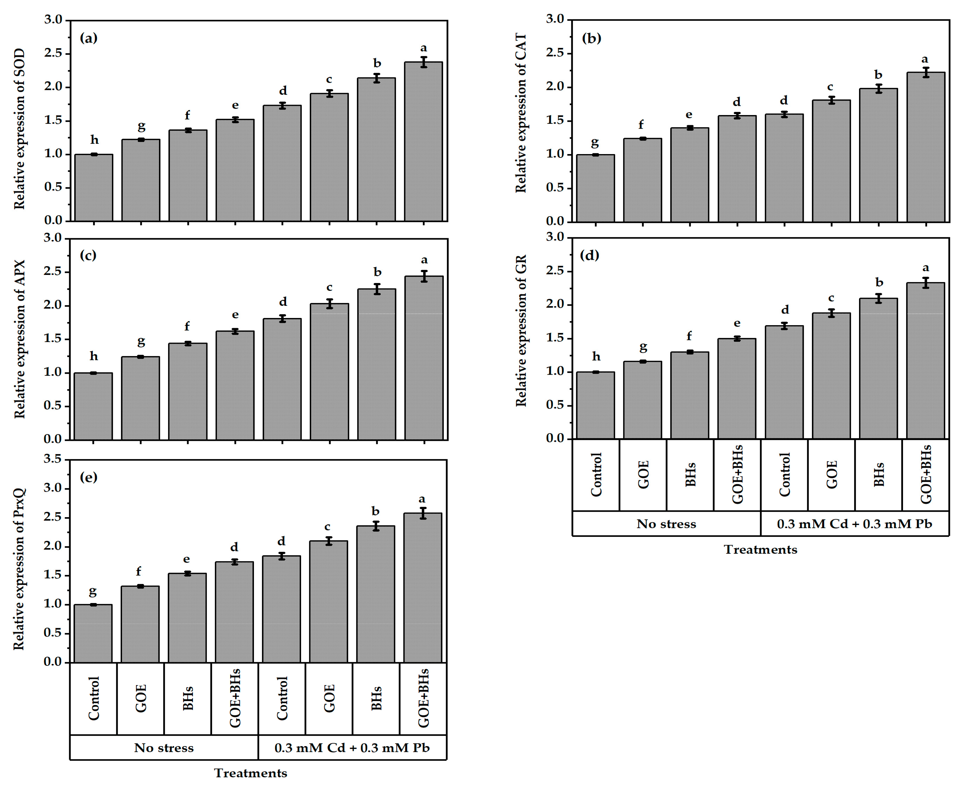 Agronomy 13 01916 g007 Agronomy 13 01916 g007