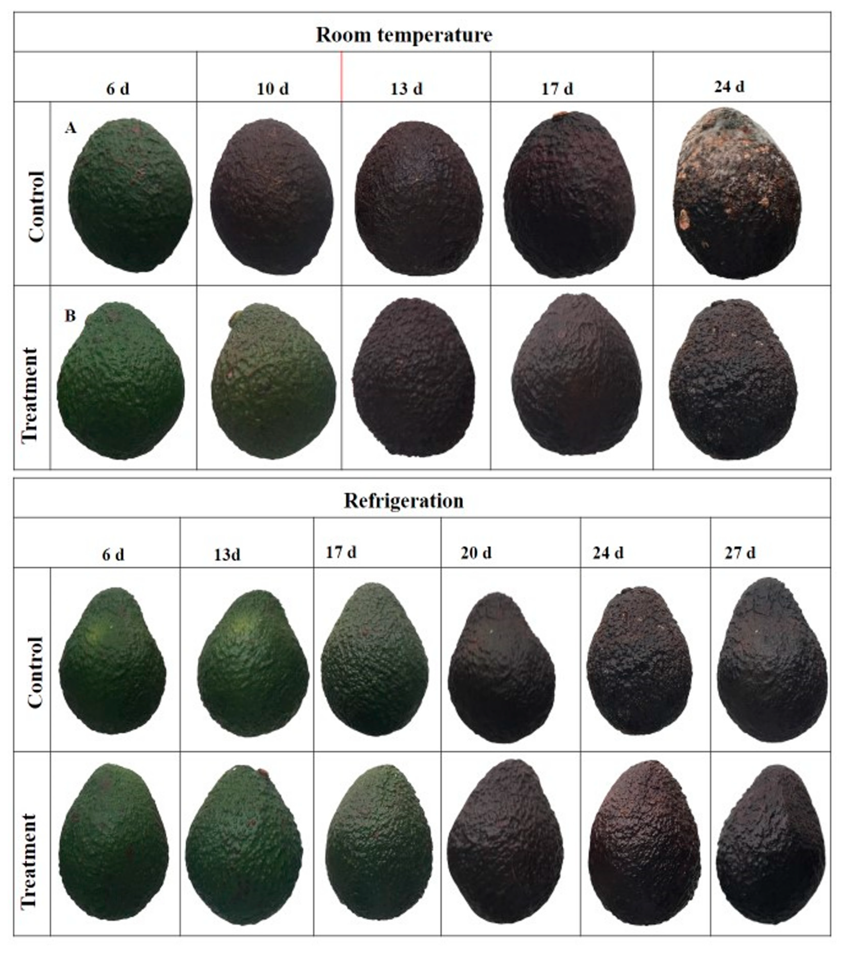 Agronomy 13 01917 g006