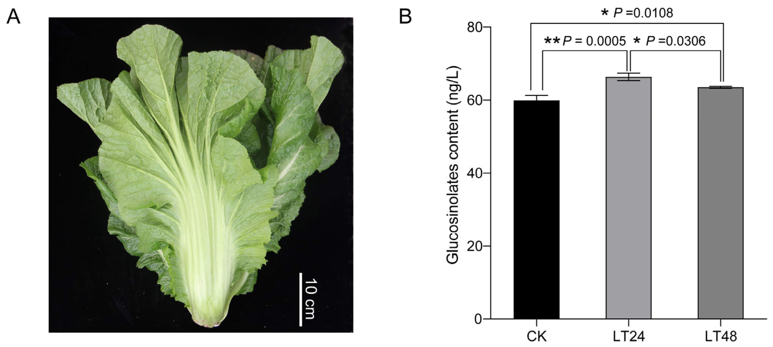 Agronomy 13 01922 g001
