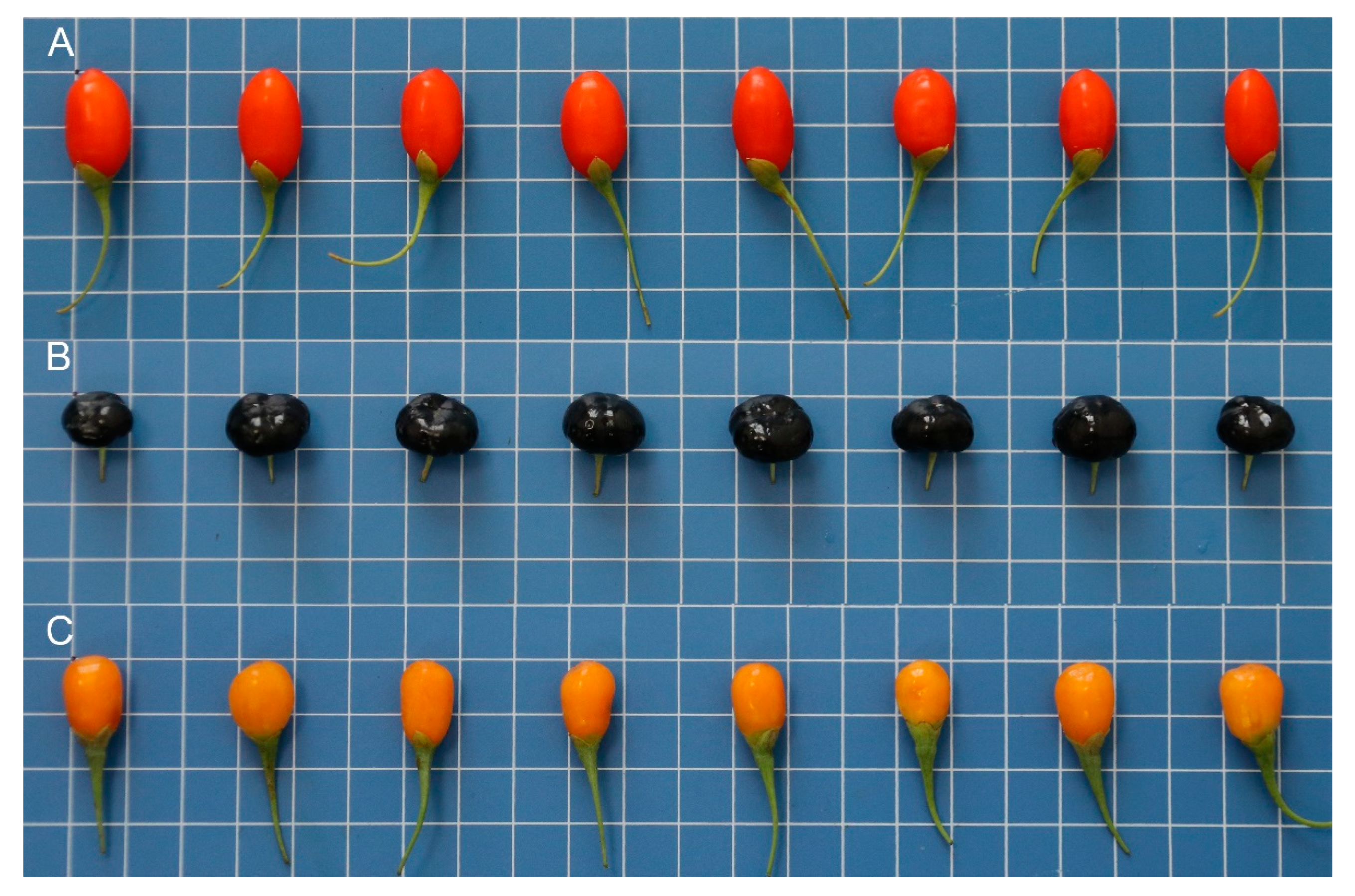 Agronomy 13 01926 g001 Agronomy 13 01926 g001