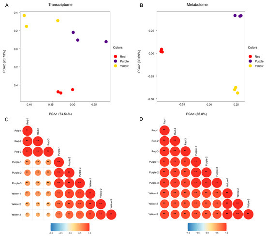 Agronomy | Free Full-Text | Integrated Analysis of Transcriptome and ...