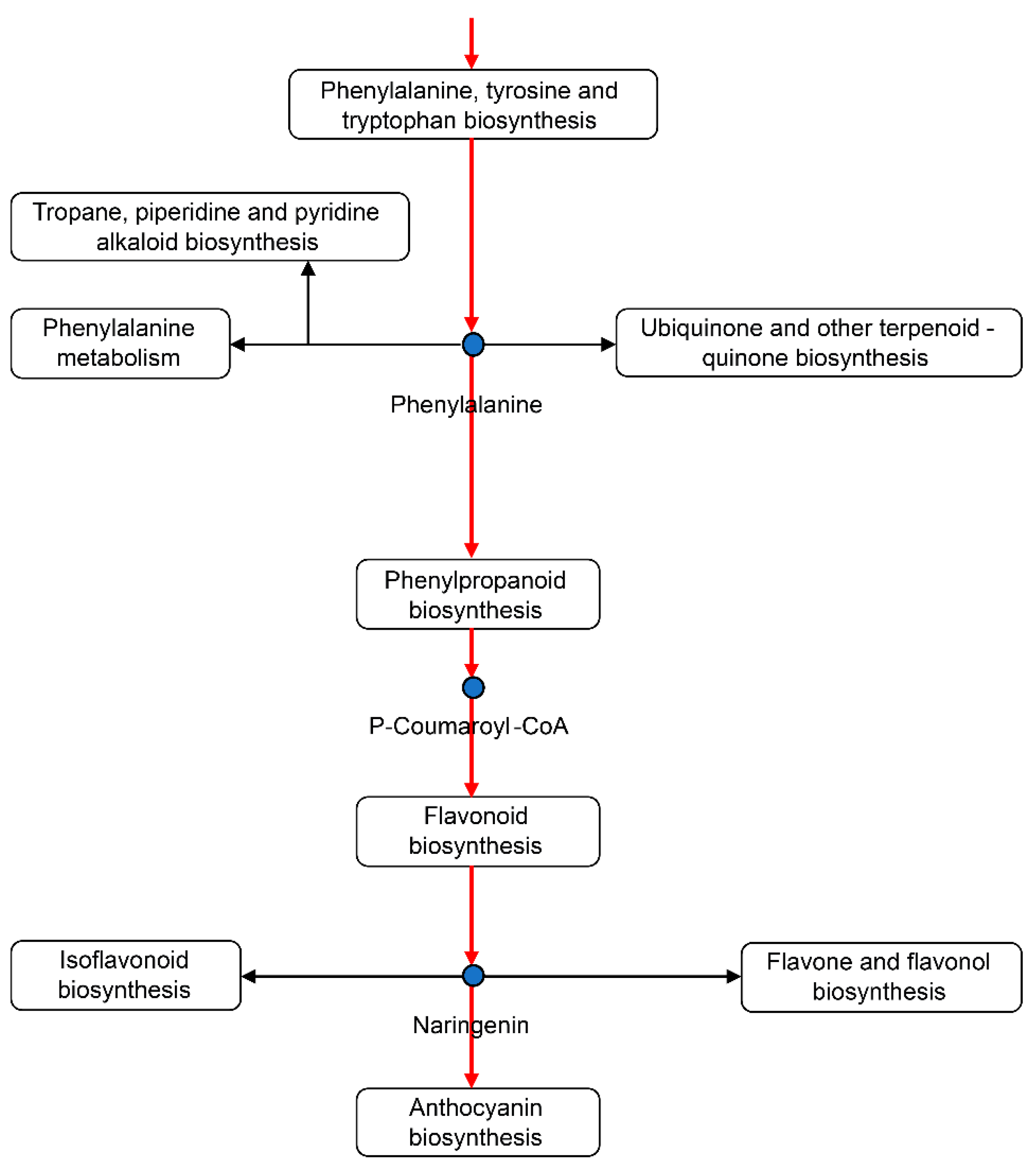 Agronomy 13 01926 g006