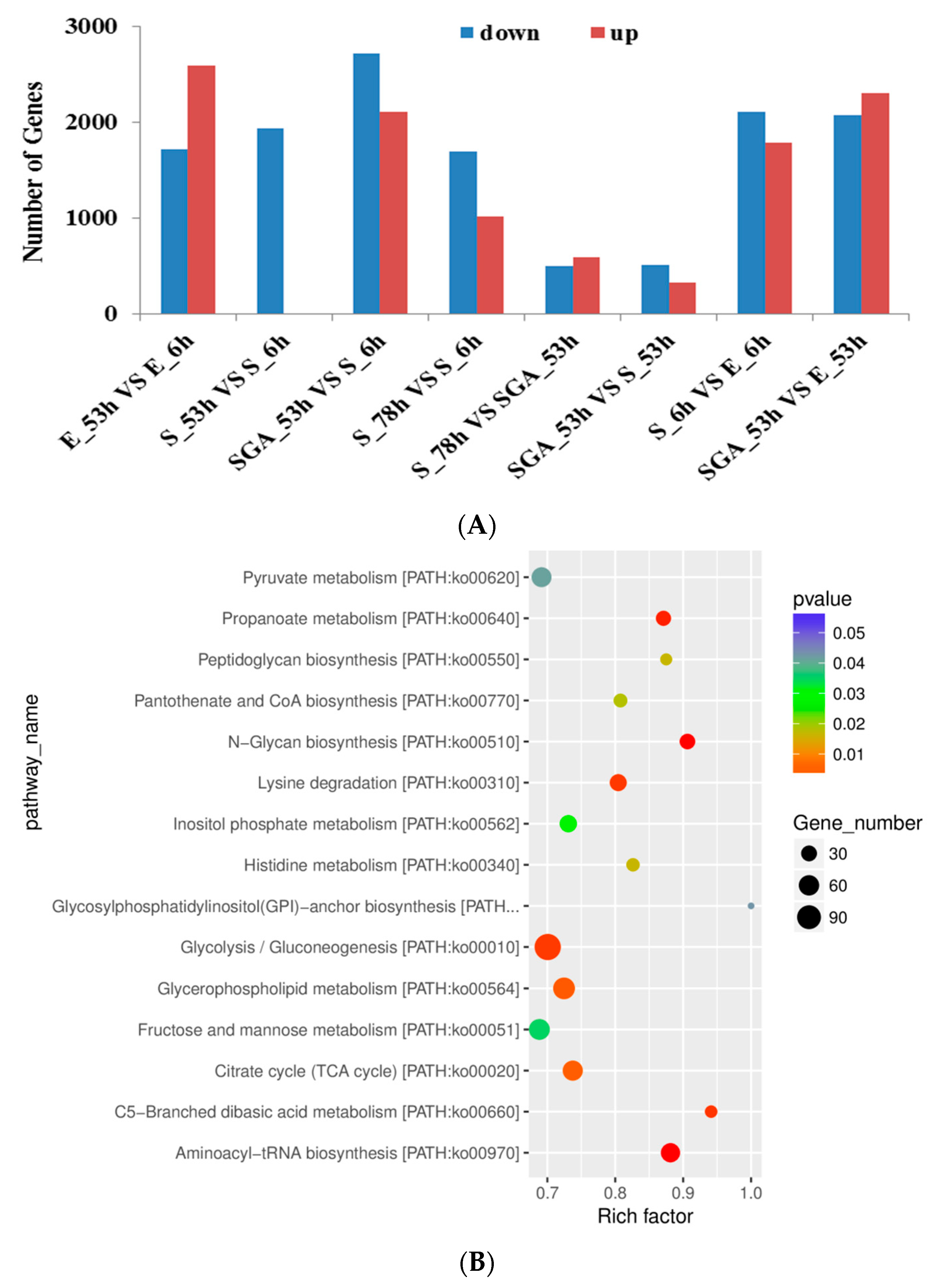 Agronomy 13 01929 g001