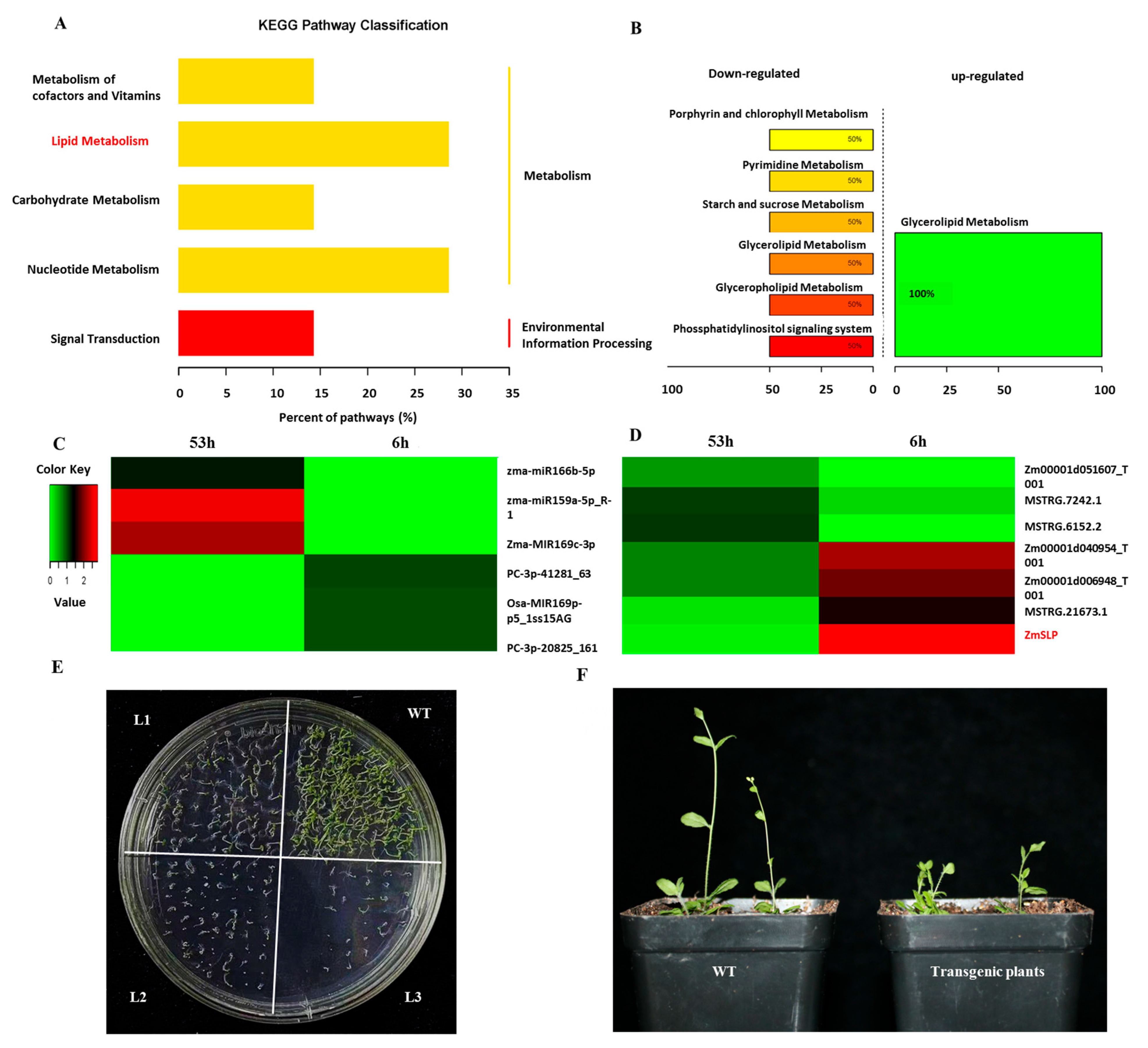 Agronomy 13 01929 g004