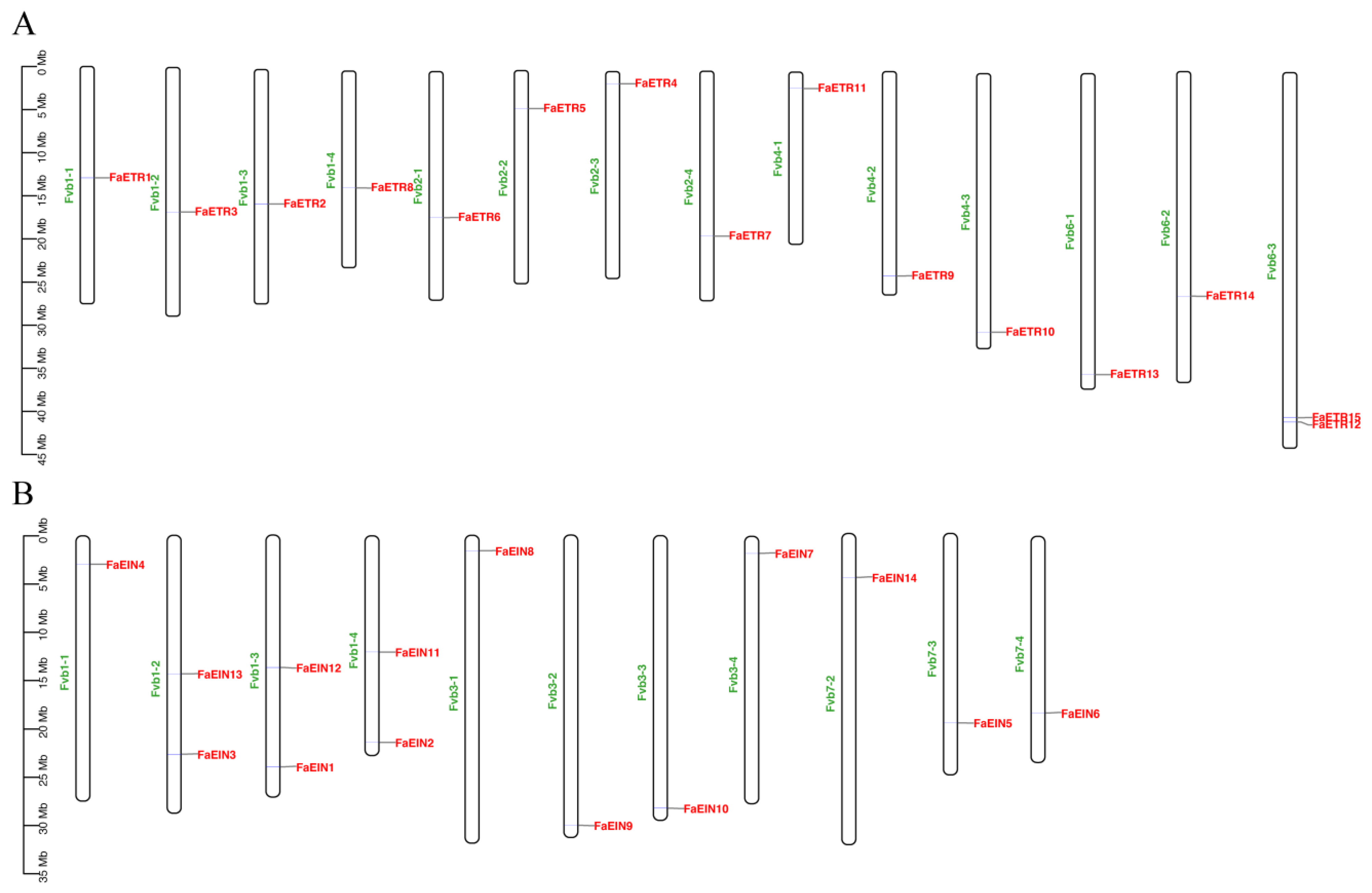 Agronomy 13 01930 g001 Agronomy 13 01930 g001