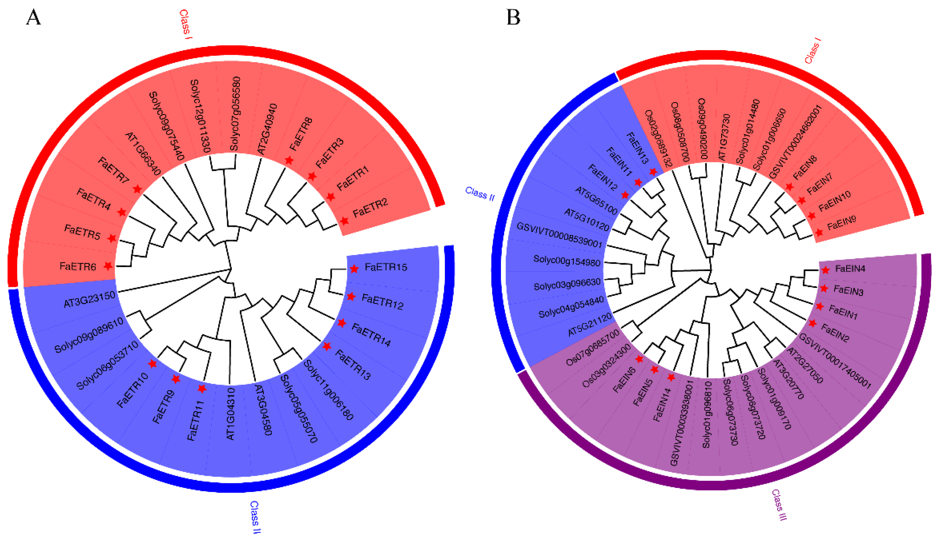 Agronomy 13 01930 g002 Agronomy 13 01930 g002