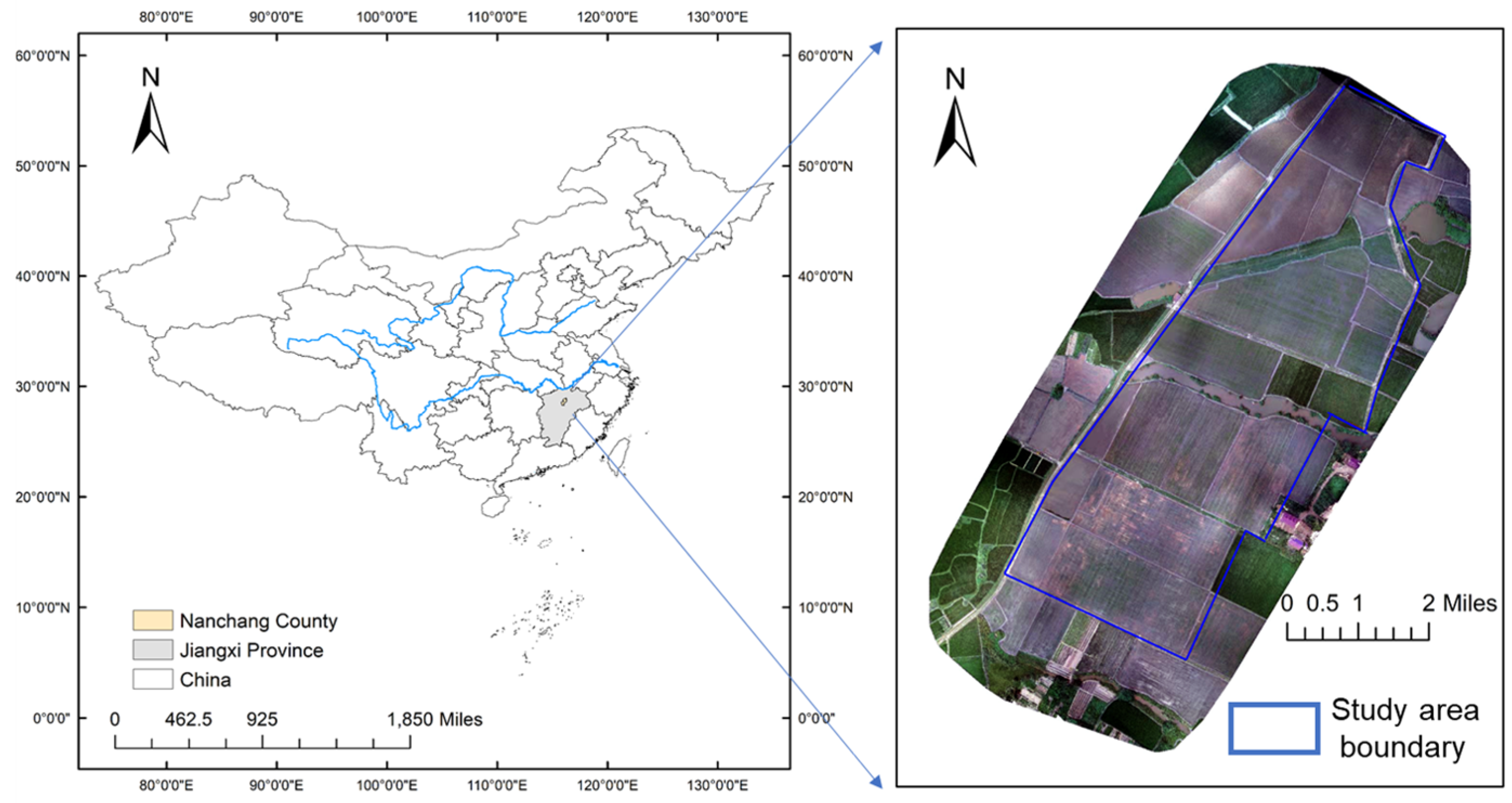 Agronomy 13 01932 g001 Agronomy 13 01932 g001