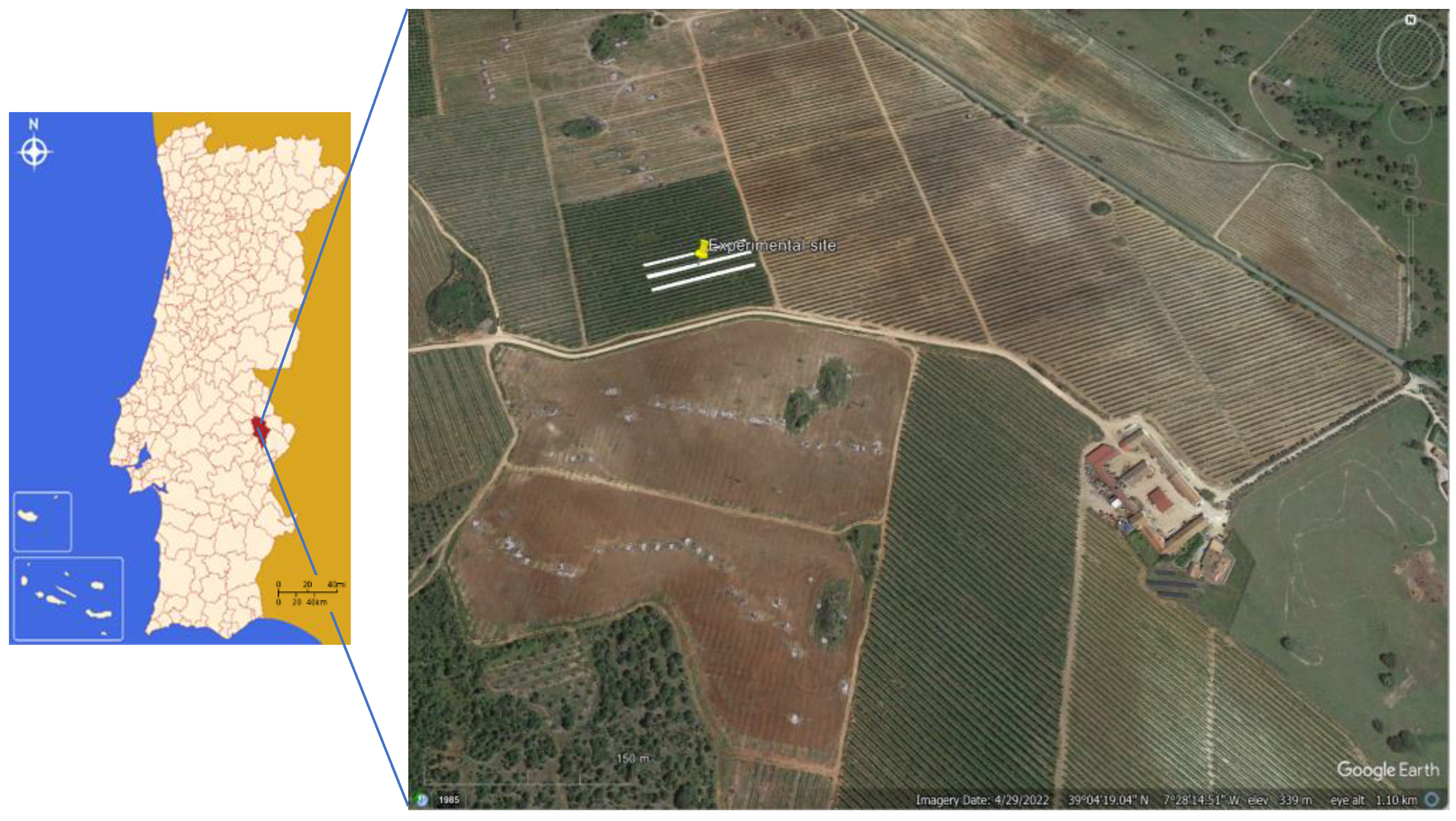 Agronomy 13 01933 g001