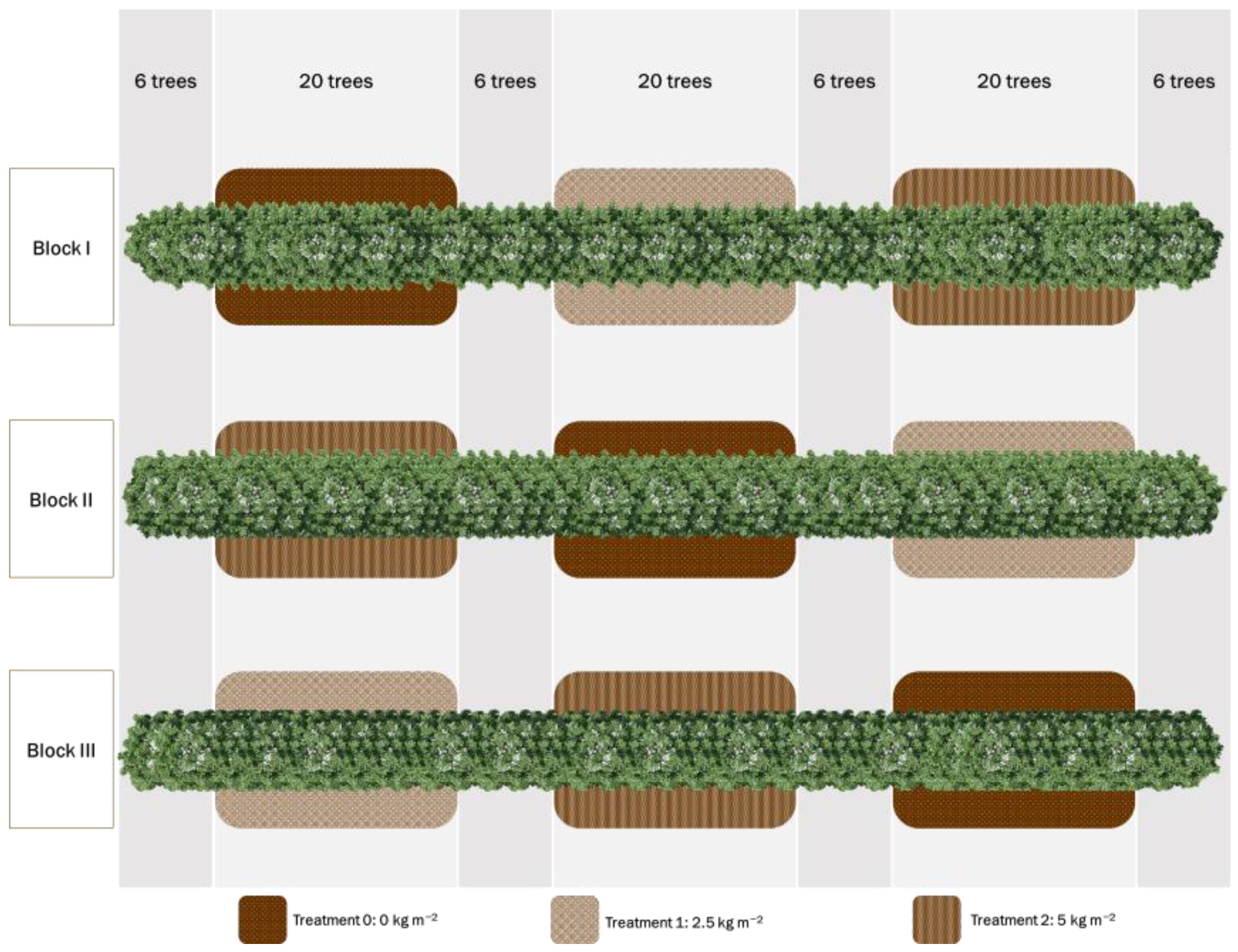 Agronomy 13 01933 g003