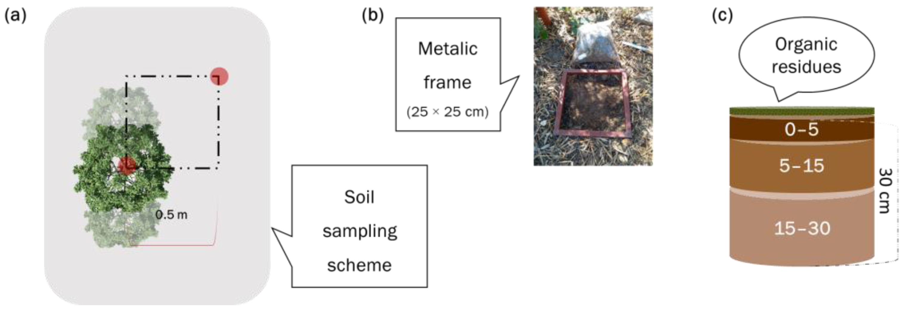 Agronomy 13 01933 g005