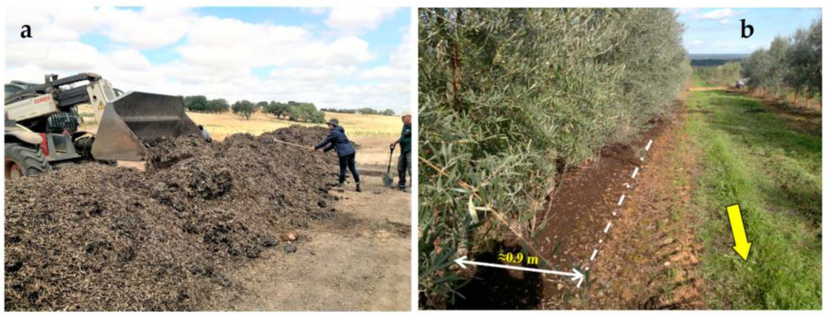 Agronomy 13 01933 g006