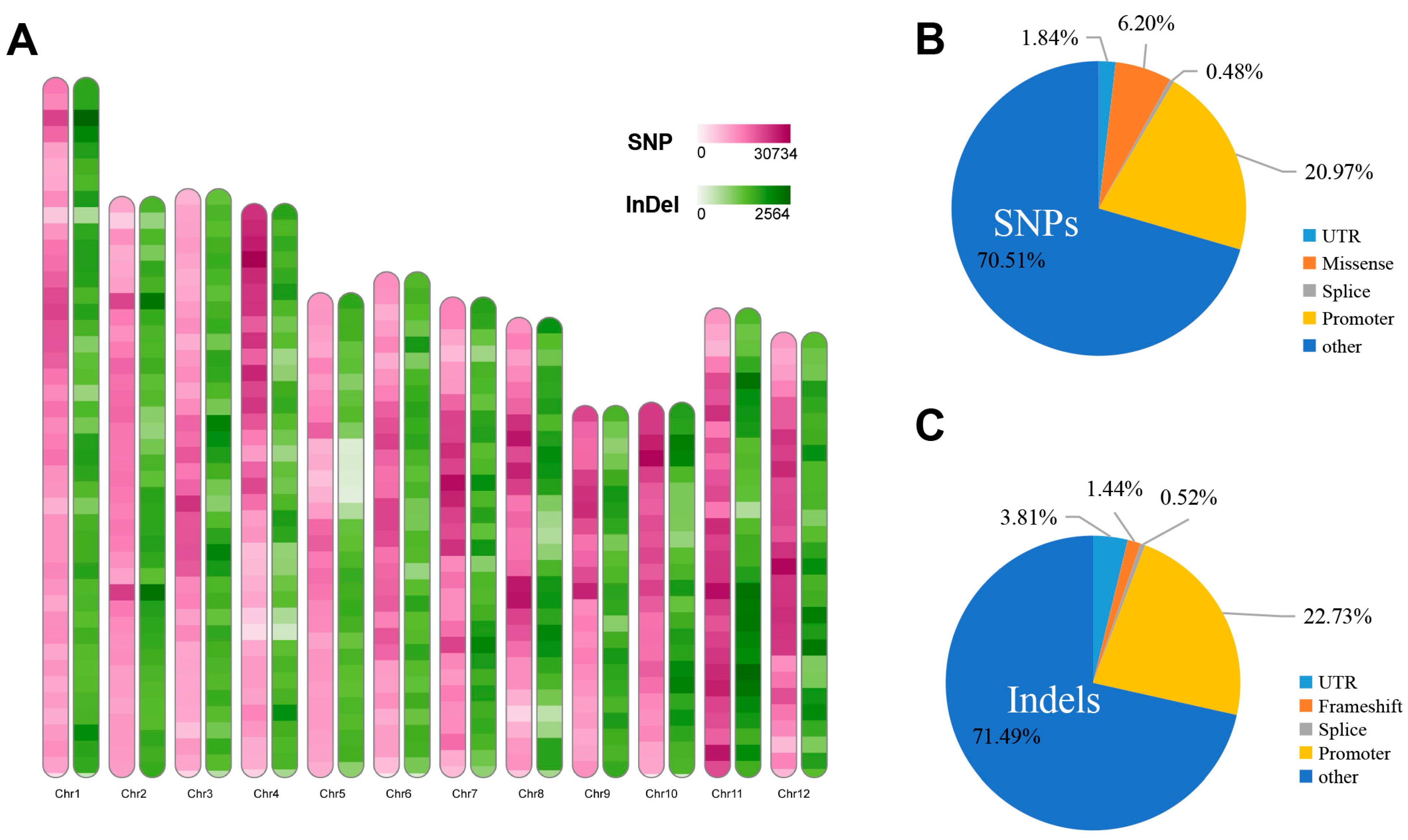 Agronomy 13 01936 g002 Agronomy 13 01936 g002