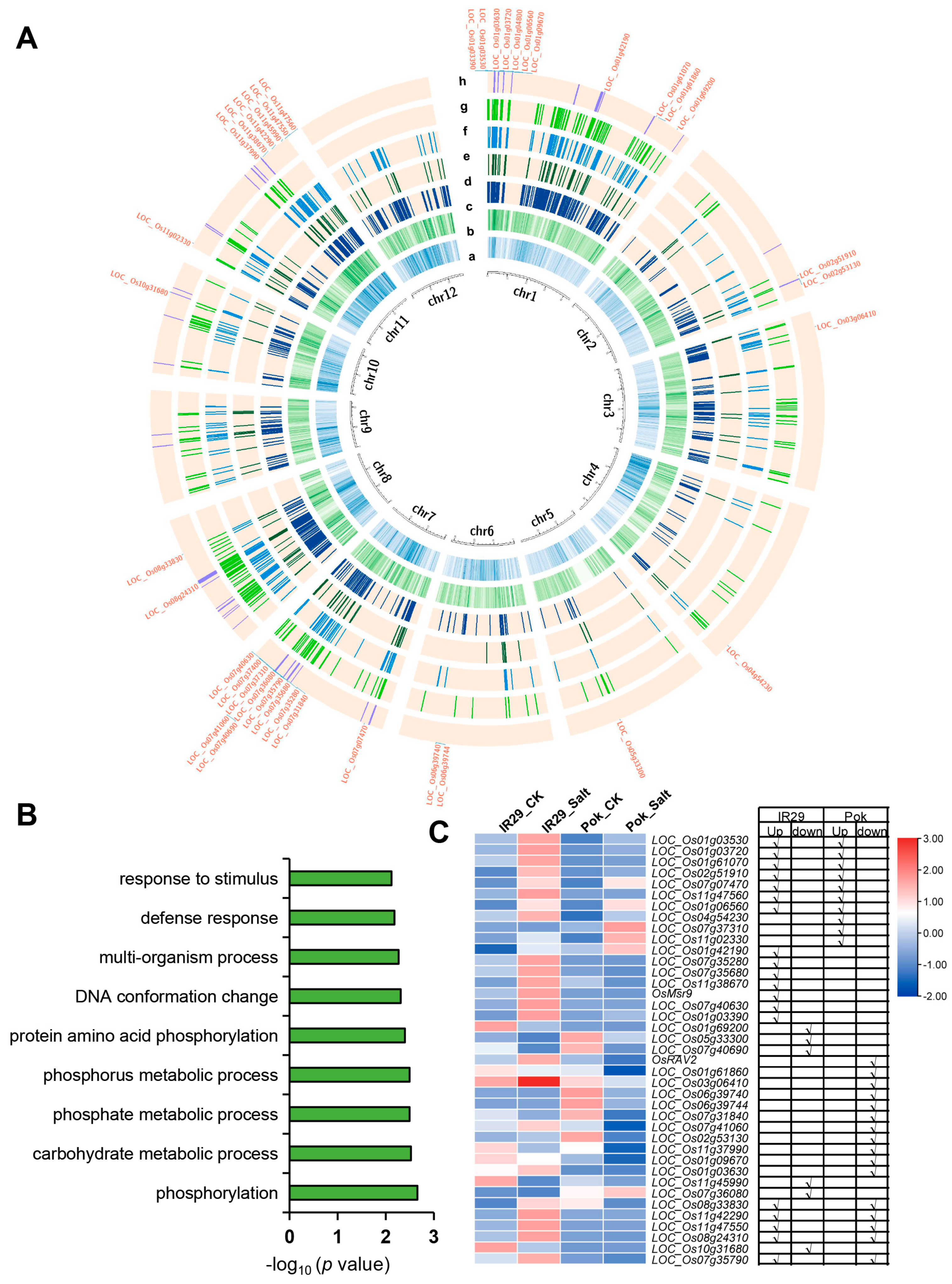 Agronomy 13 01936 g004 Agronomy 13 01936 g004