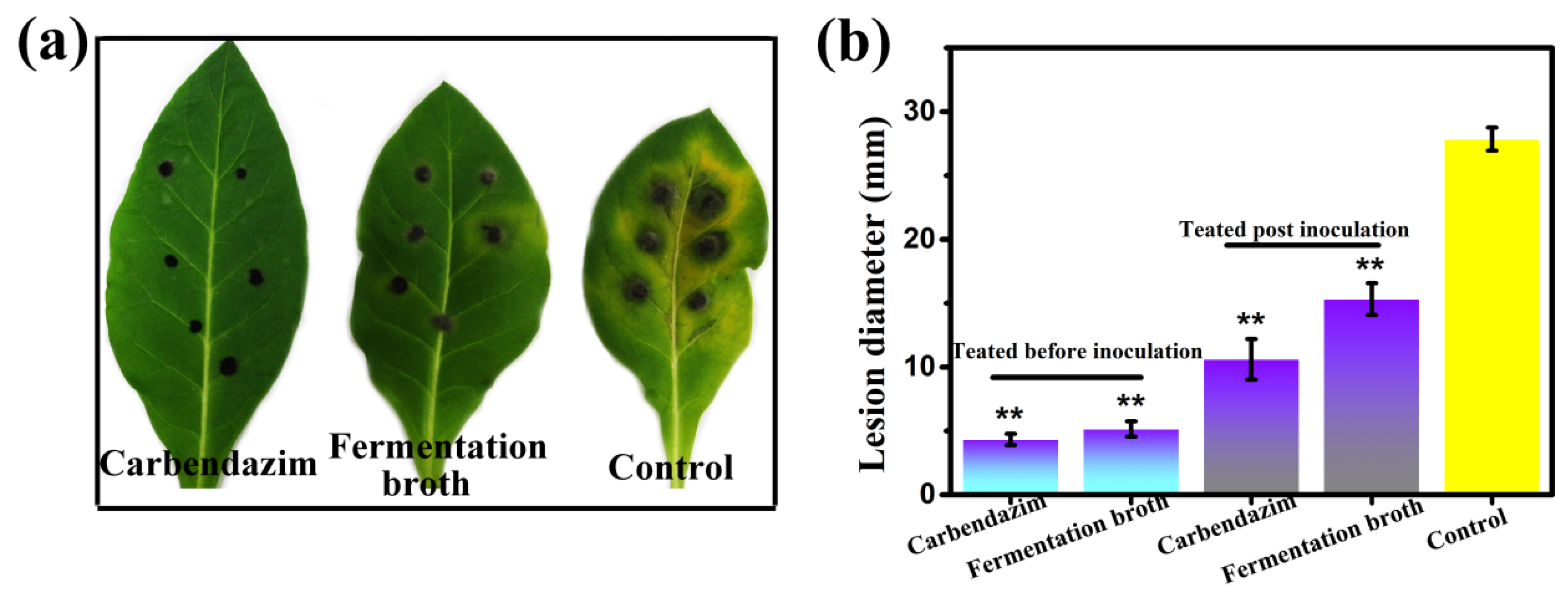 Agronomy 13 01944 g004