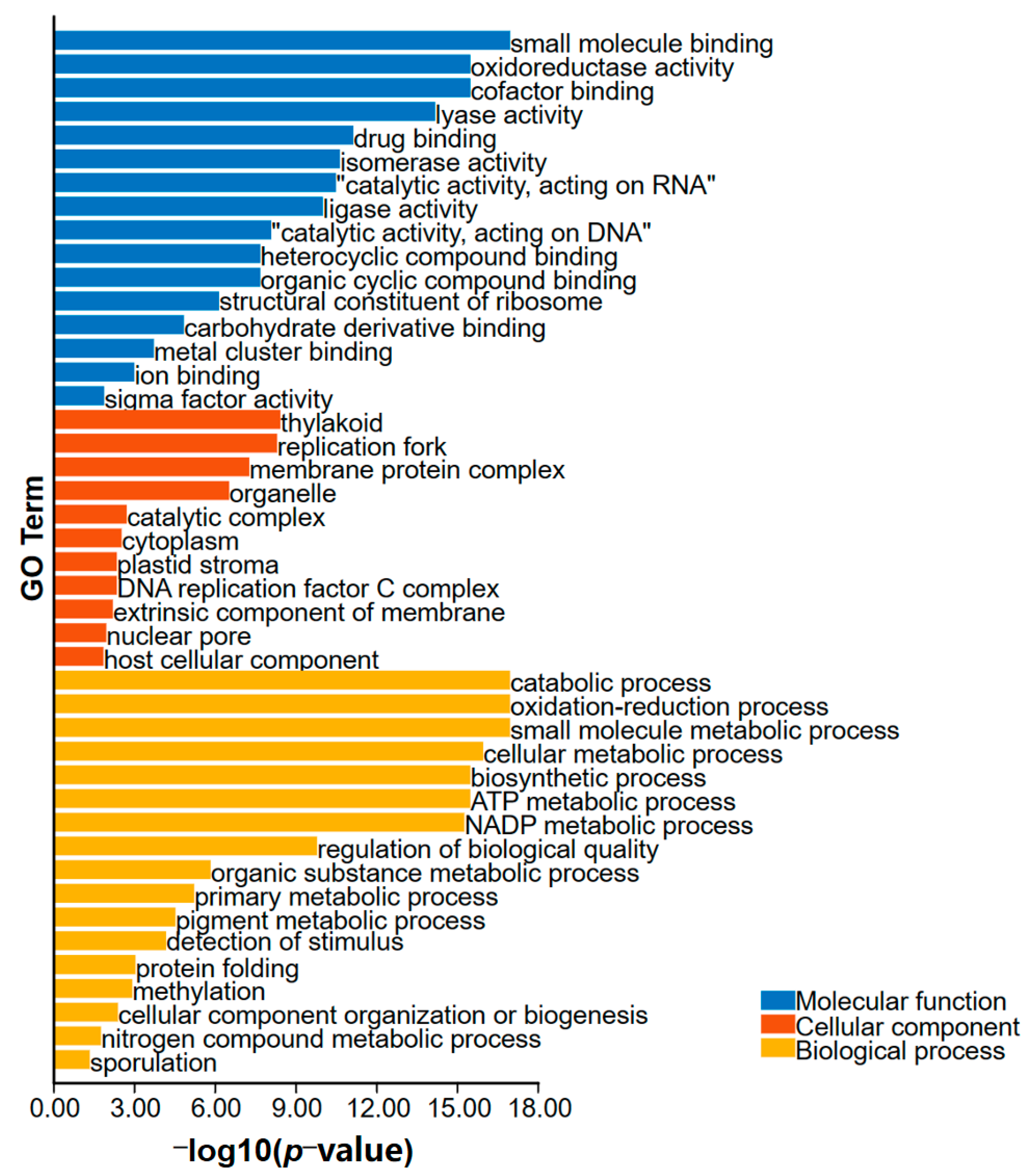 Agronomy 13 01946 g004