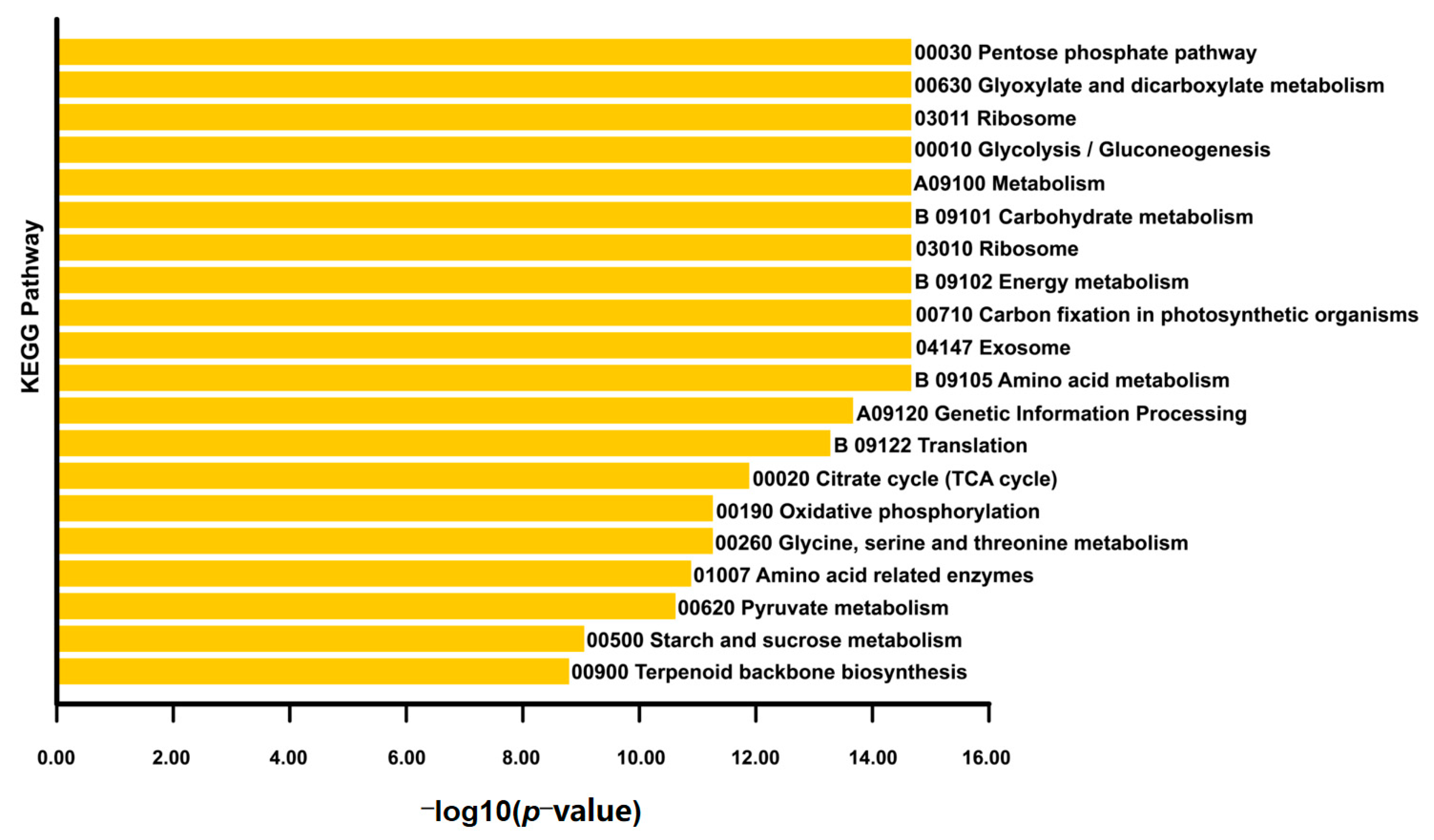 Agronomy 13 01946 g005