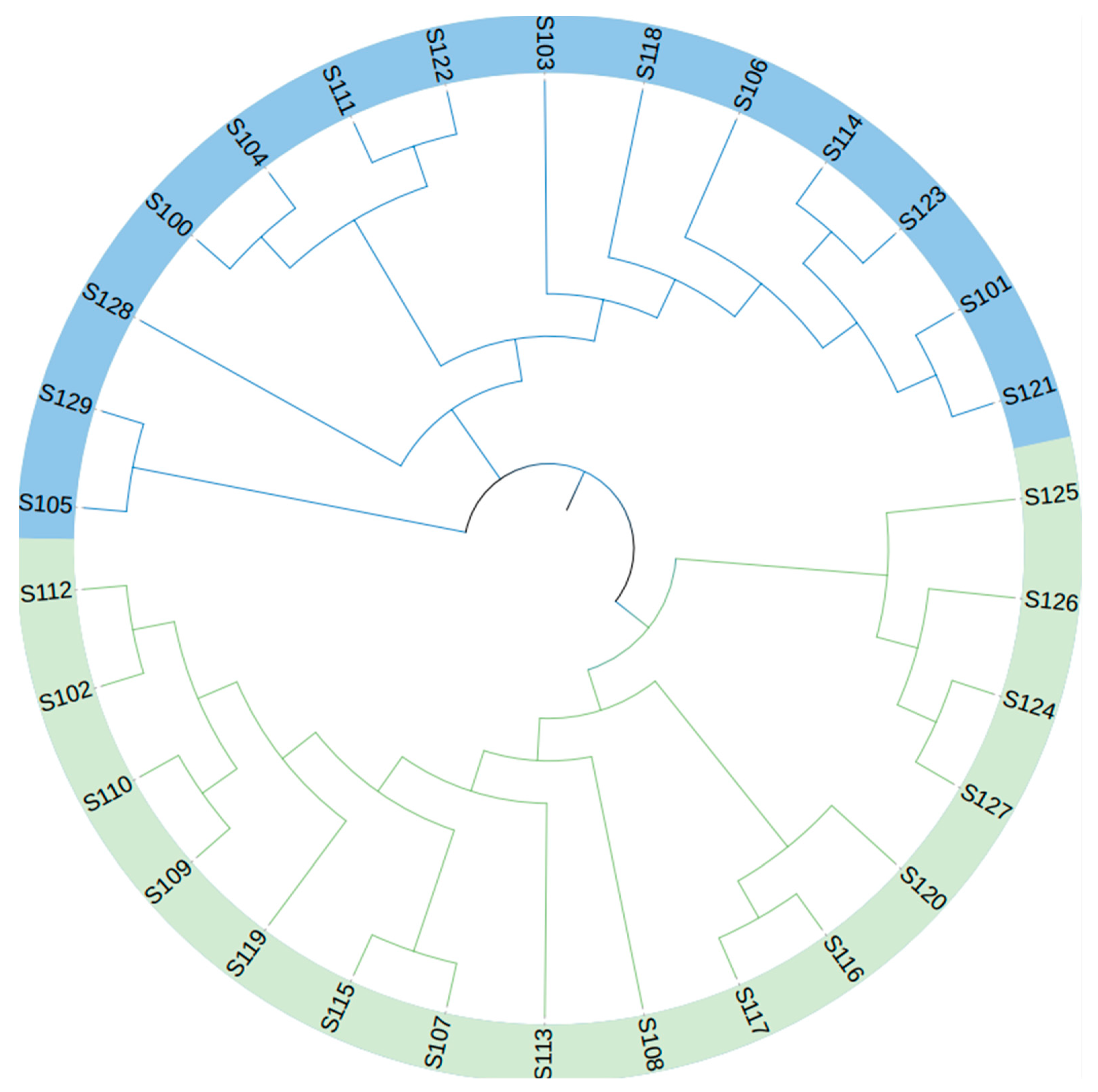 Agronomy 13 01946 g006