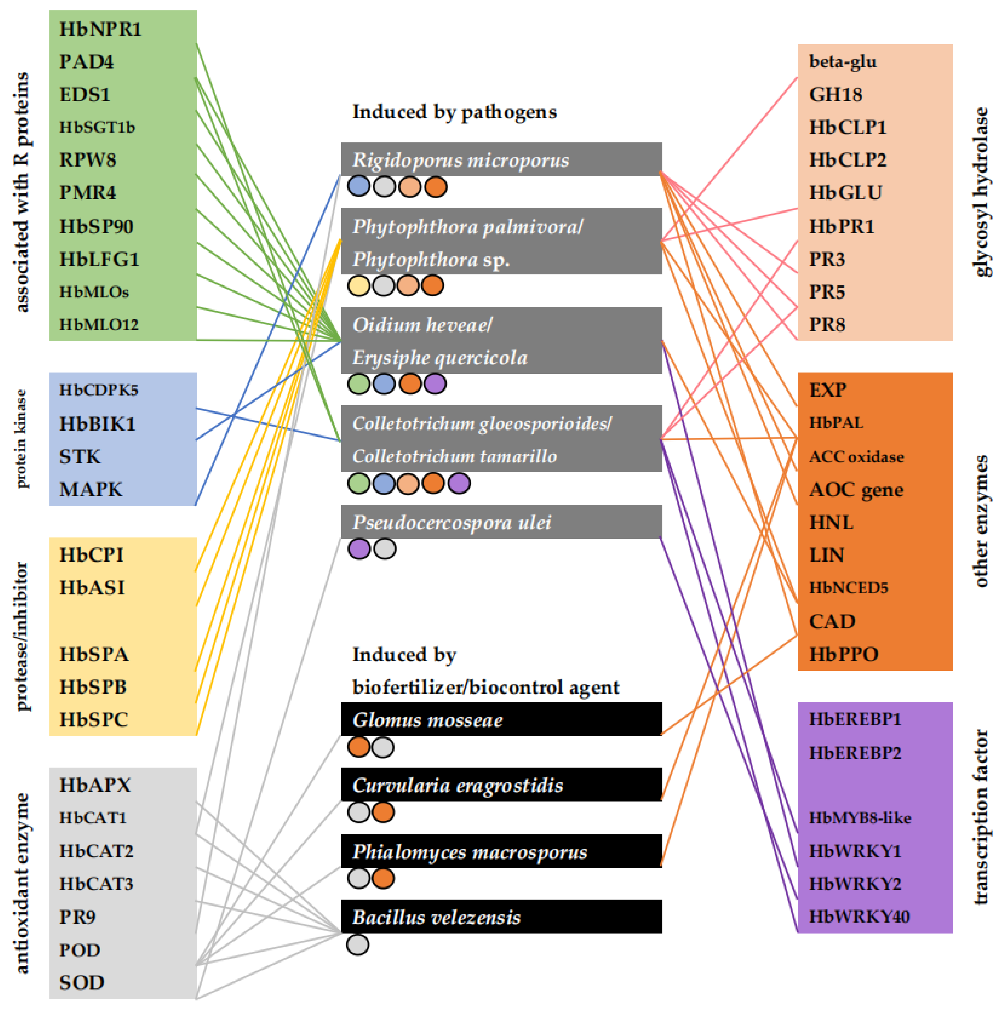 Agronomy 13 01965 g010