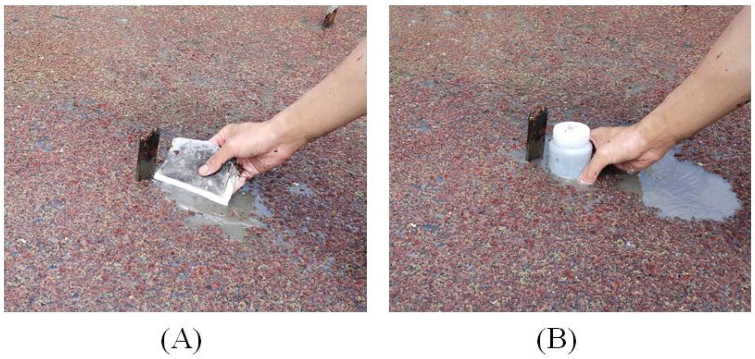 Agronomy 13 01968 g001 Agronomy 13 01968 g001