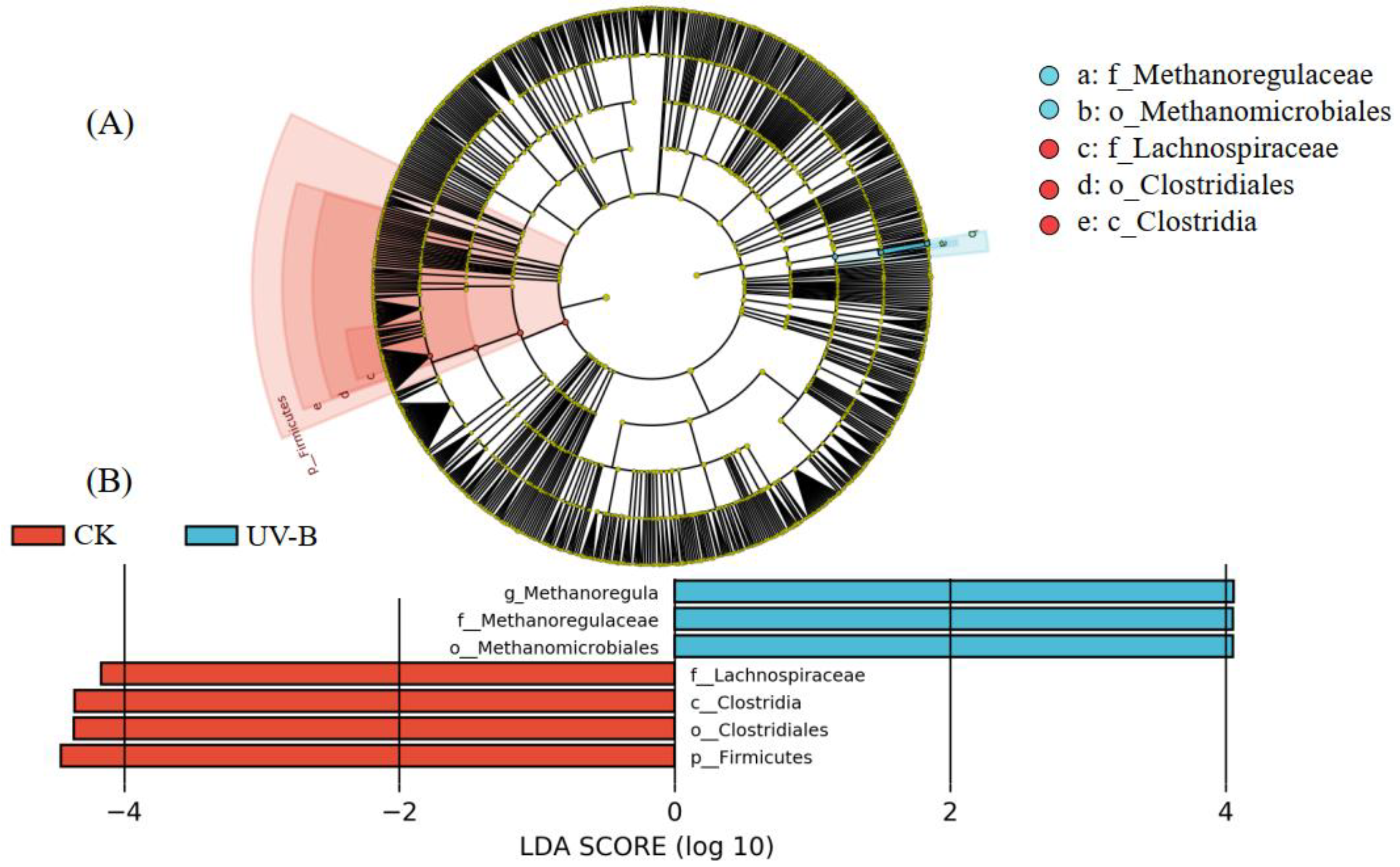 Agronomy 13 01968 g007 Agronomy 13 01968 g007