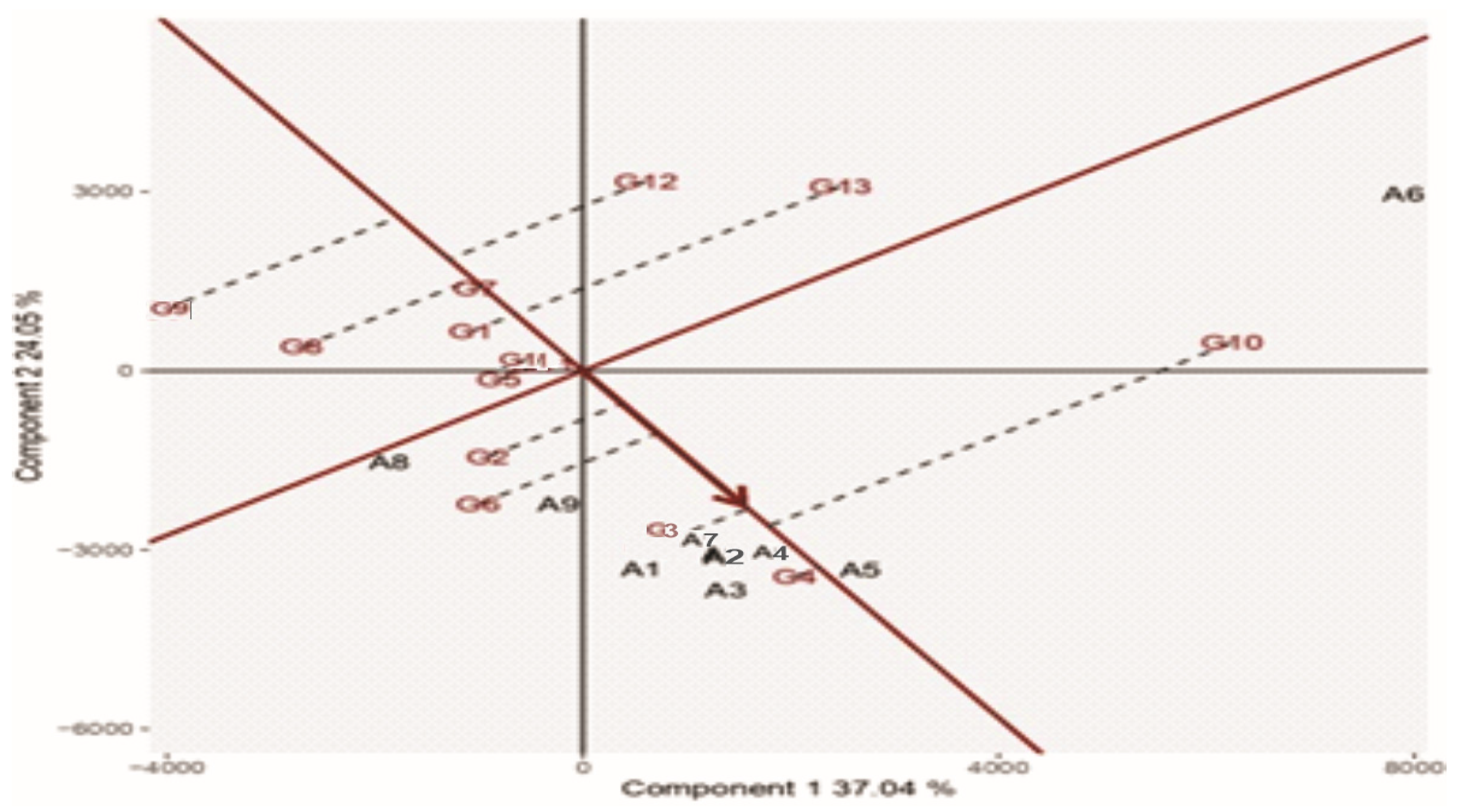 Agronomy 13 01970 g005