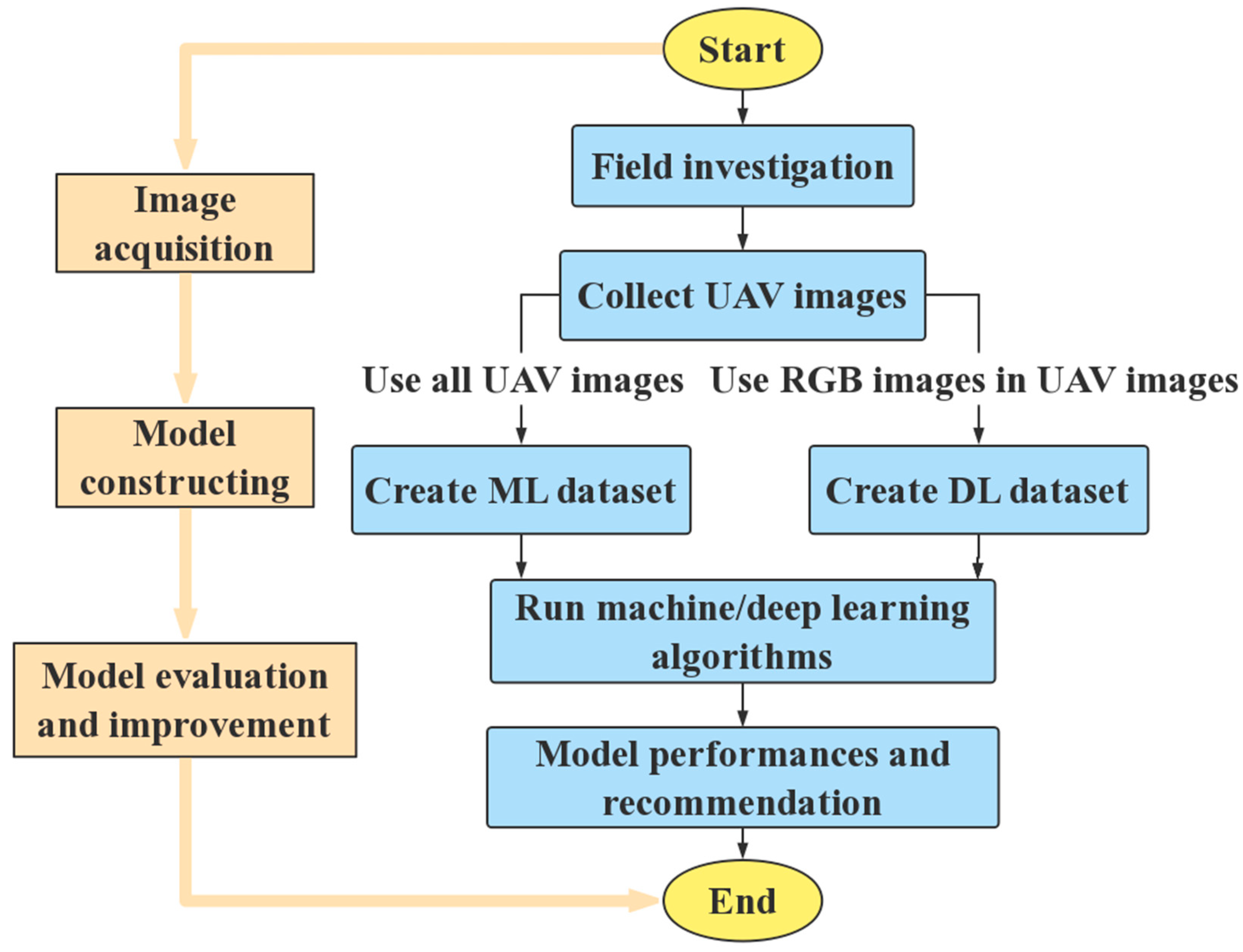 Agronomy 13 01974 g001