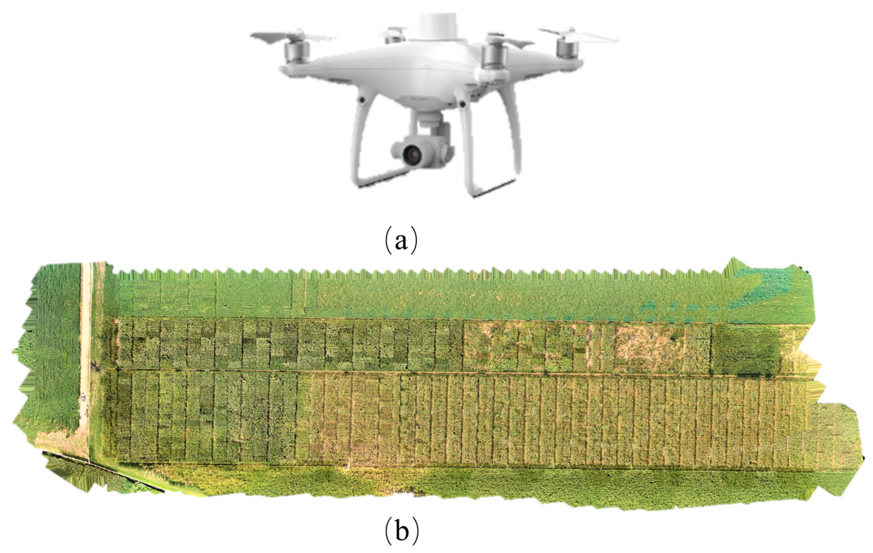 Agronomy 13 01974 g002