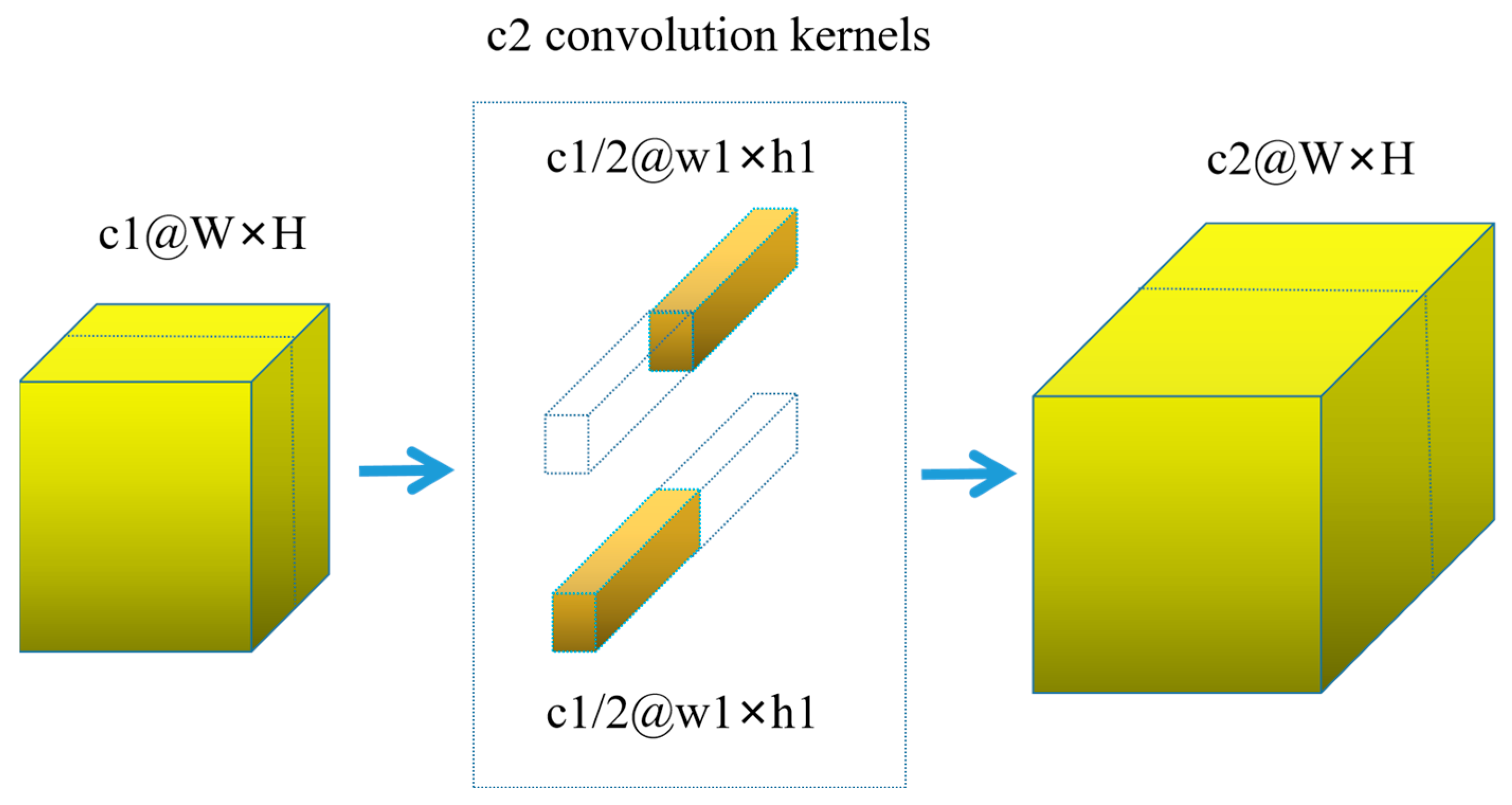 Agronomy 13 01974 g009